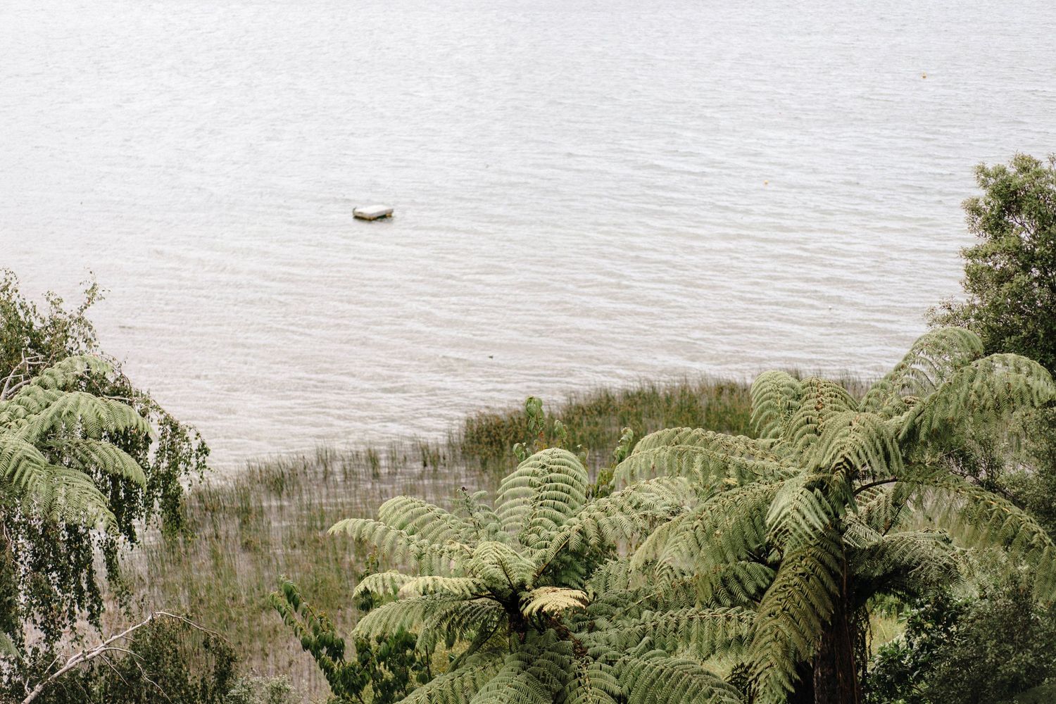 Scenic coastal landscape with lush greenery and calm waters stretching to the horizon on a cloudy day.