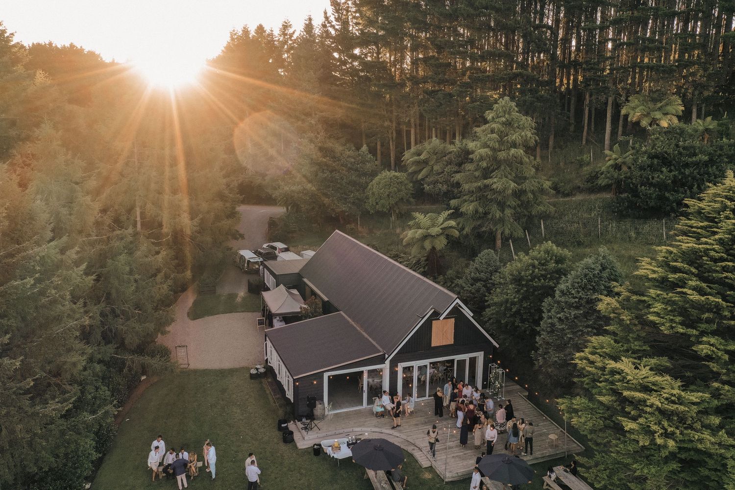 Sunset view of outdoor wedding venue nestled among pine trees with golden light streaming through.