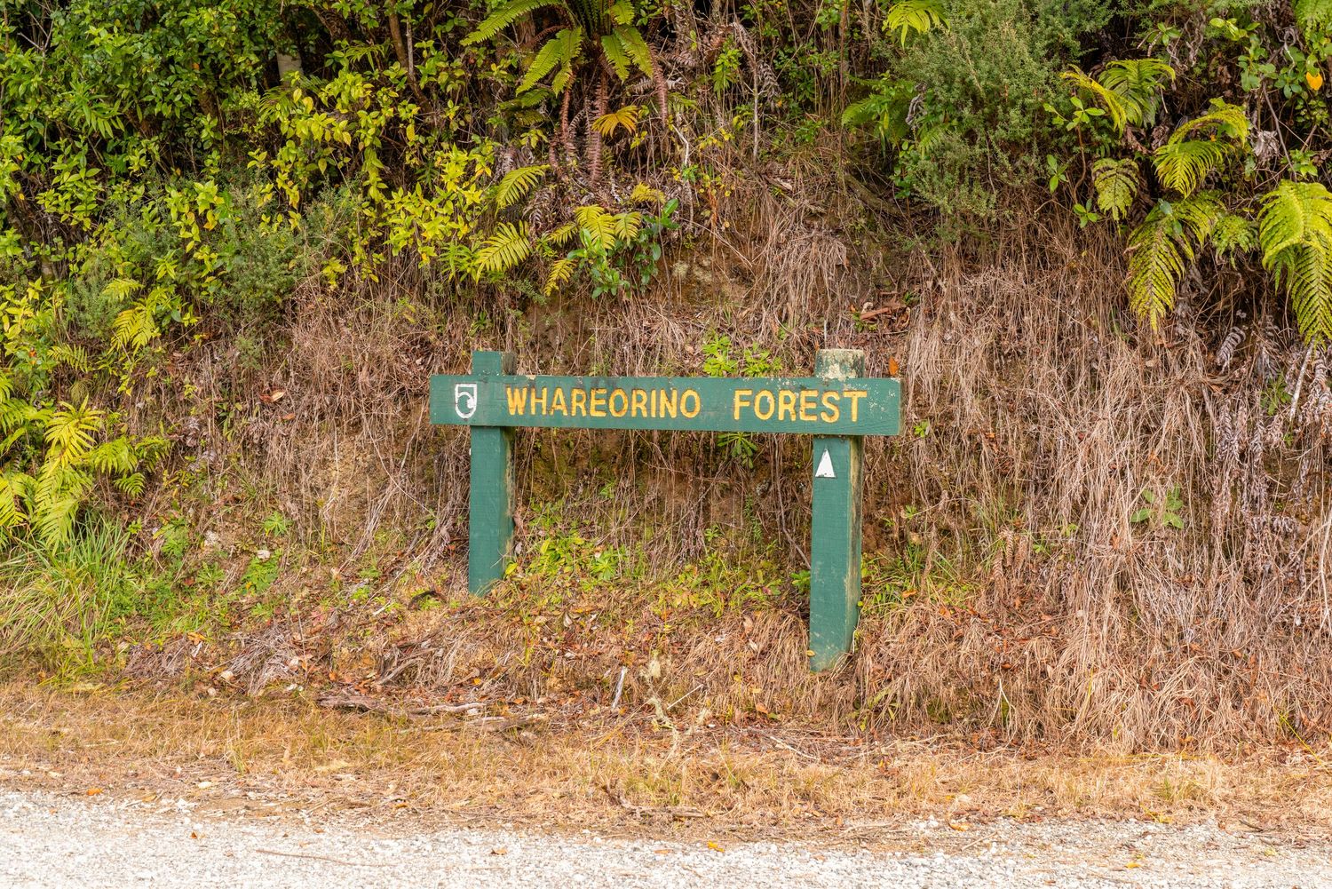 Wooden sign marking entrance to Whakapipi Forest along a rural path.