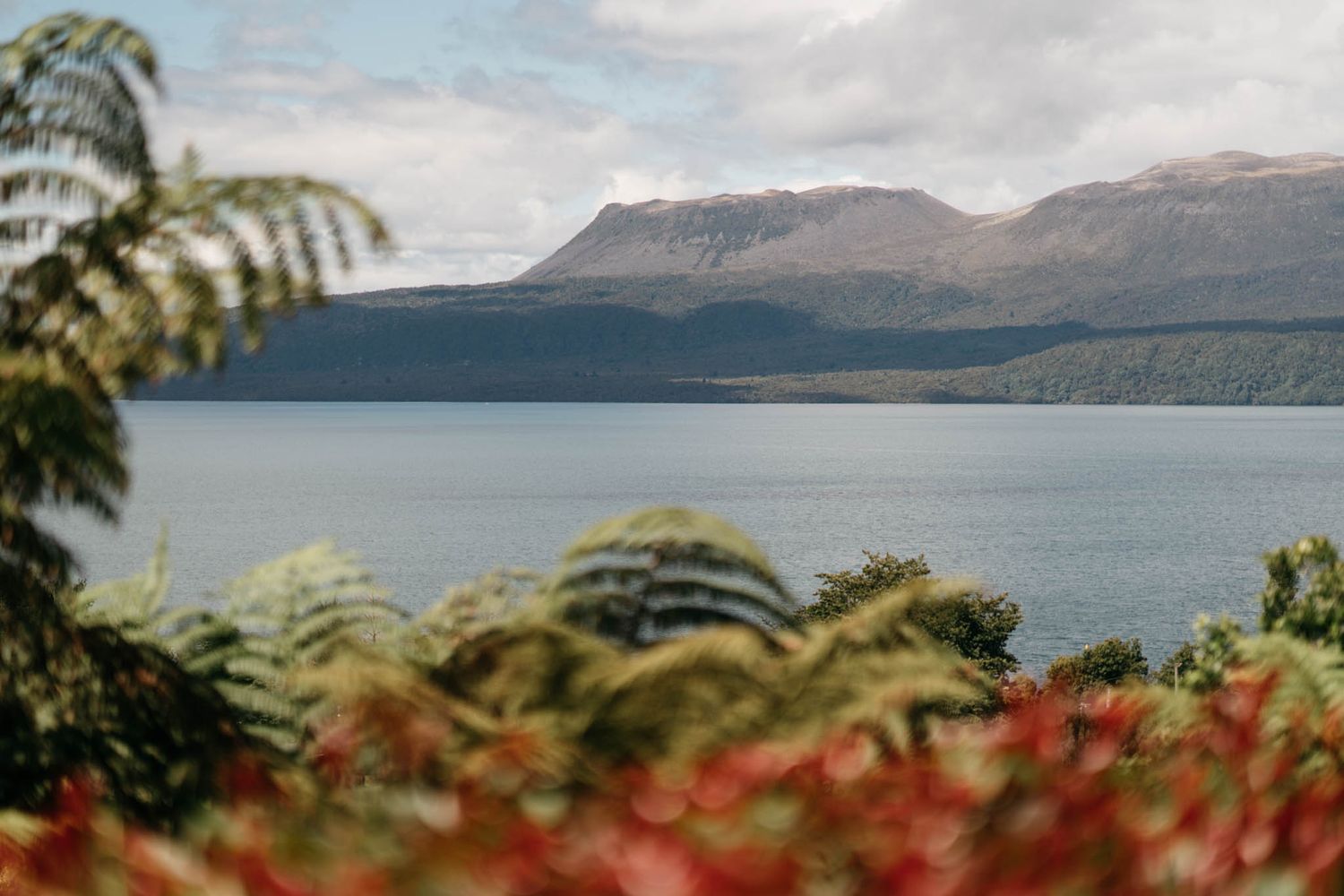 Mountain lake landscape with fern fronds and red foliage in the foreground.