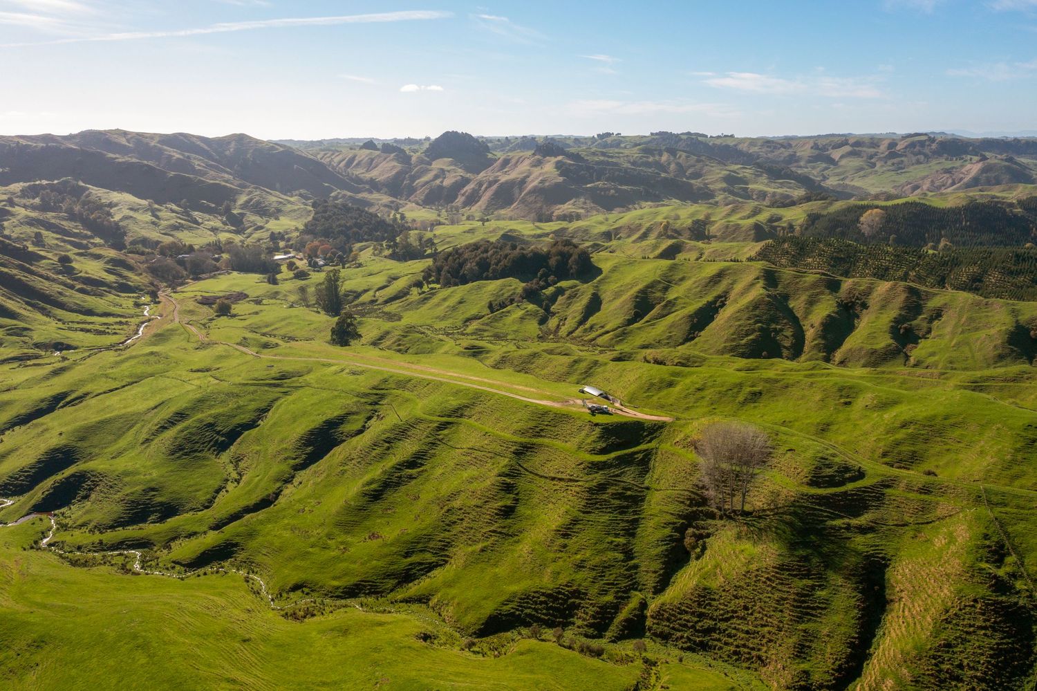 Rolling green hills and valleys stretch across a vast pastoral landscape under blue skies in New Zealand.