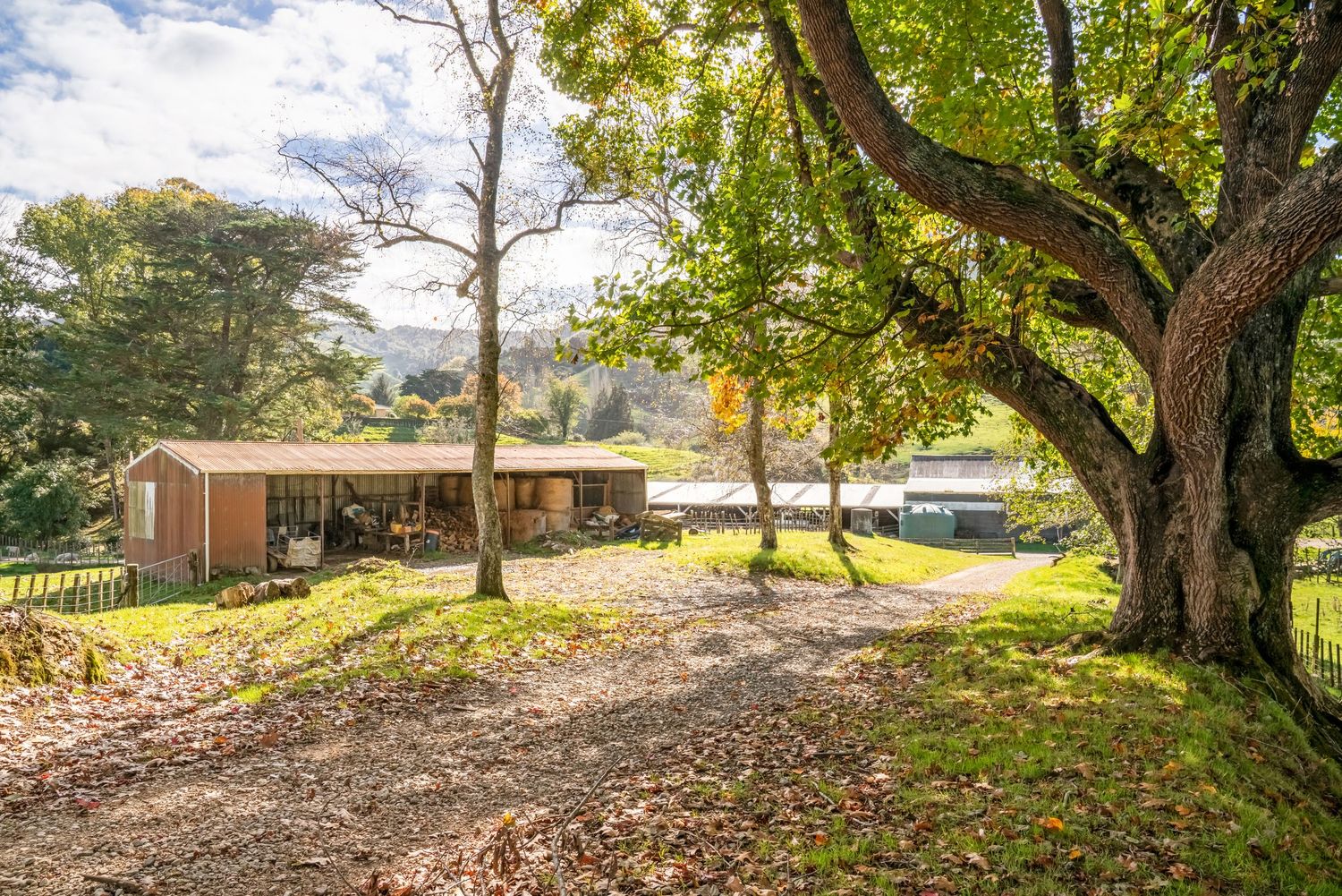 Rural property with mid-century buildings surrounded by mature trees on a sunny autumn day.