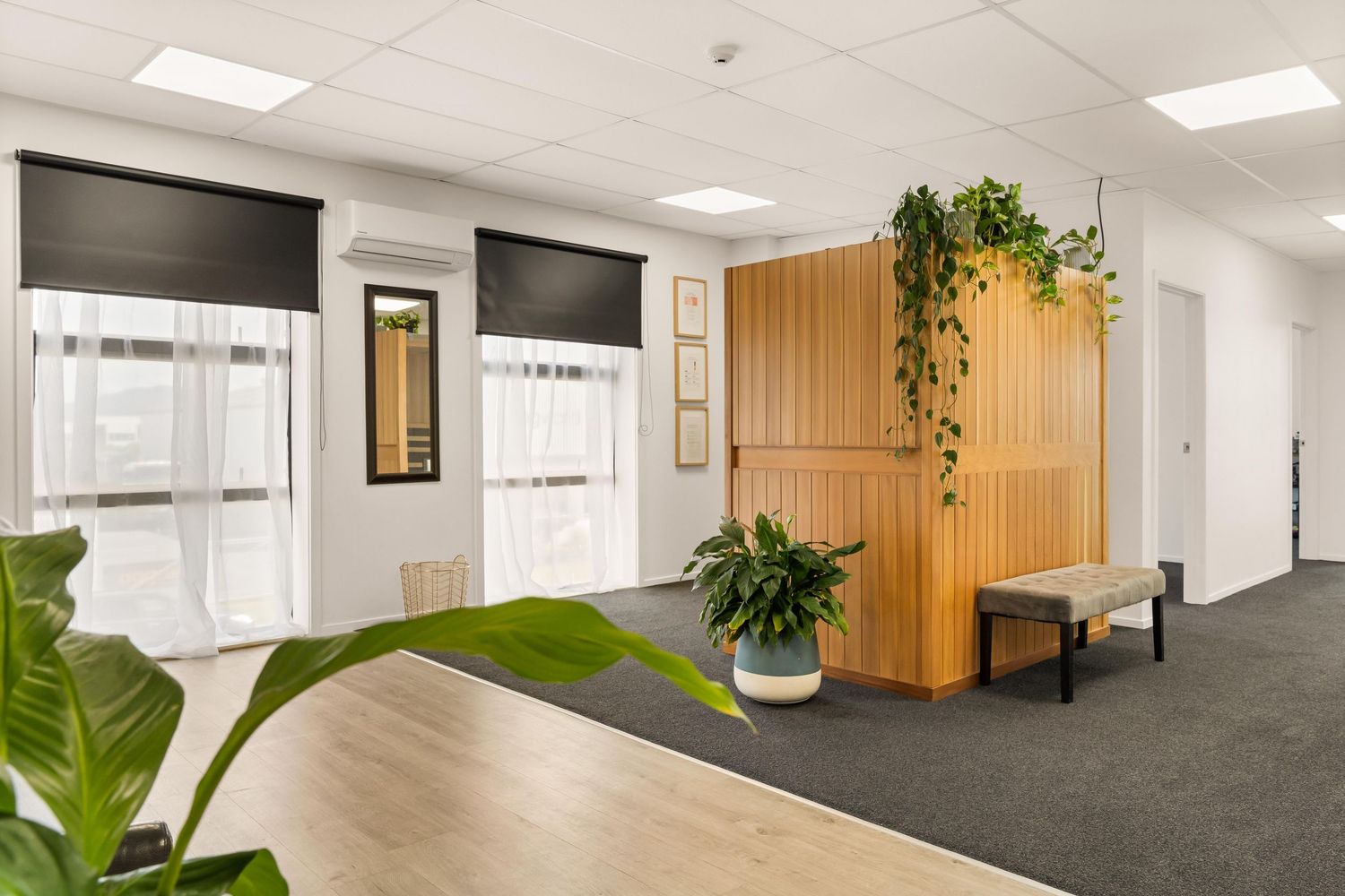 Modern office hallway with white walls, recessed lighting, wooden doors, and indoor plants creating a bright workspace.