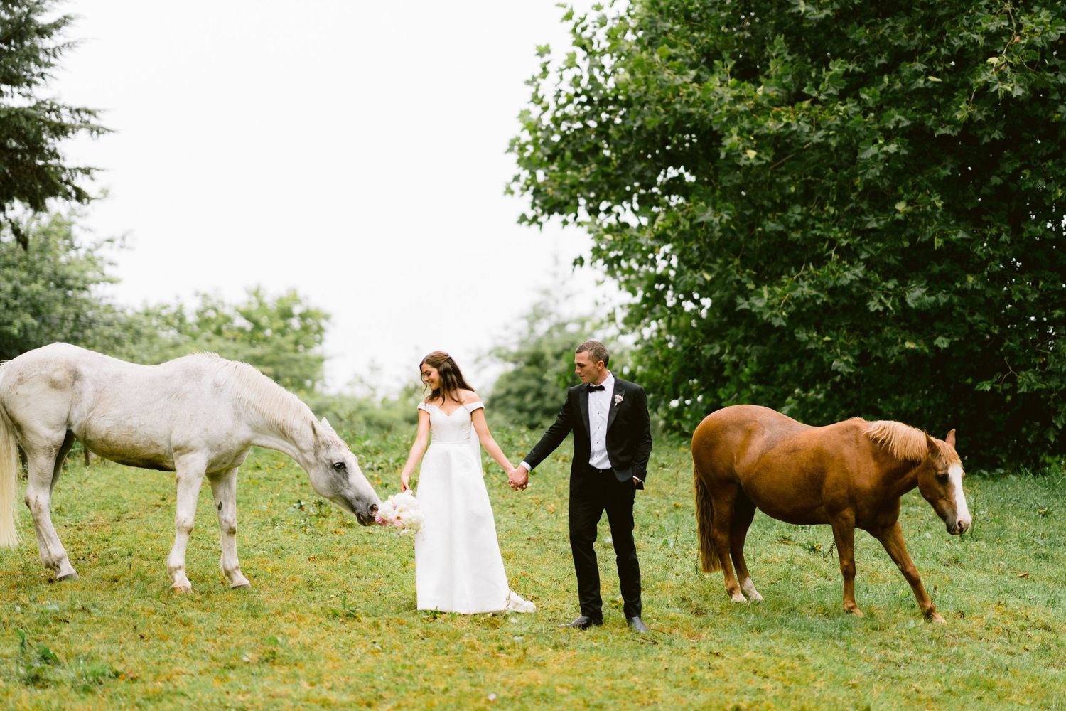 Couple in wedding attire stands in a green field between a white horse and brown horse on a sunny day.