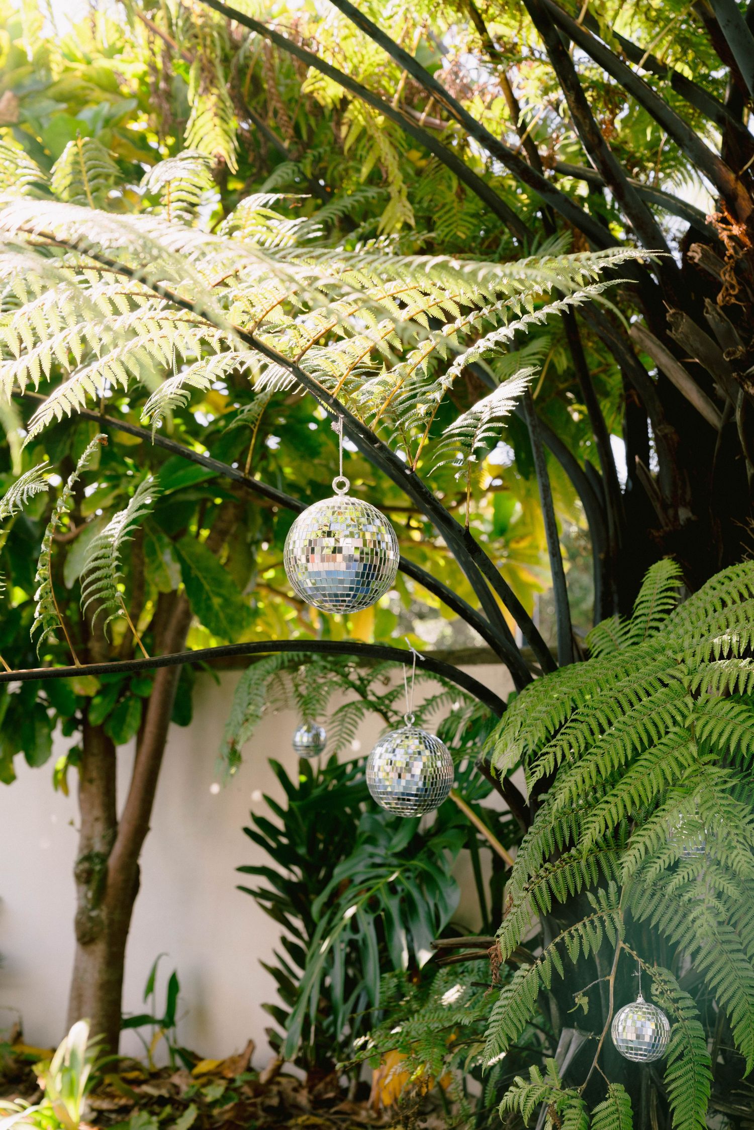 Decorative disco balls hanging among lush green ferns in a tropical garden setting.