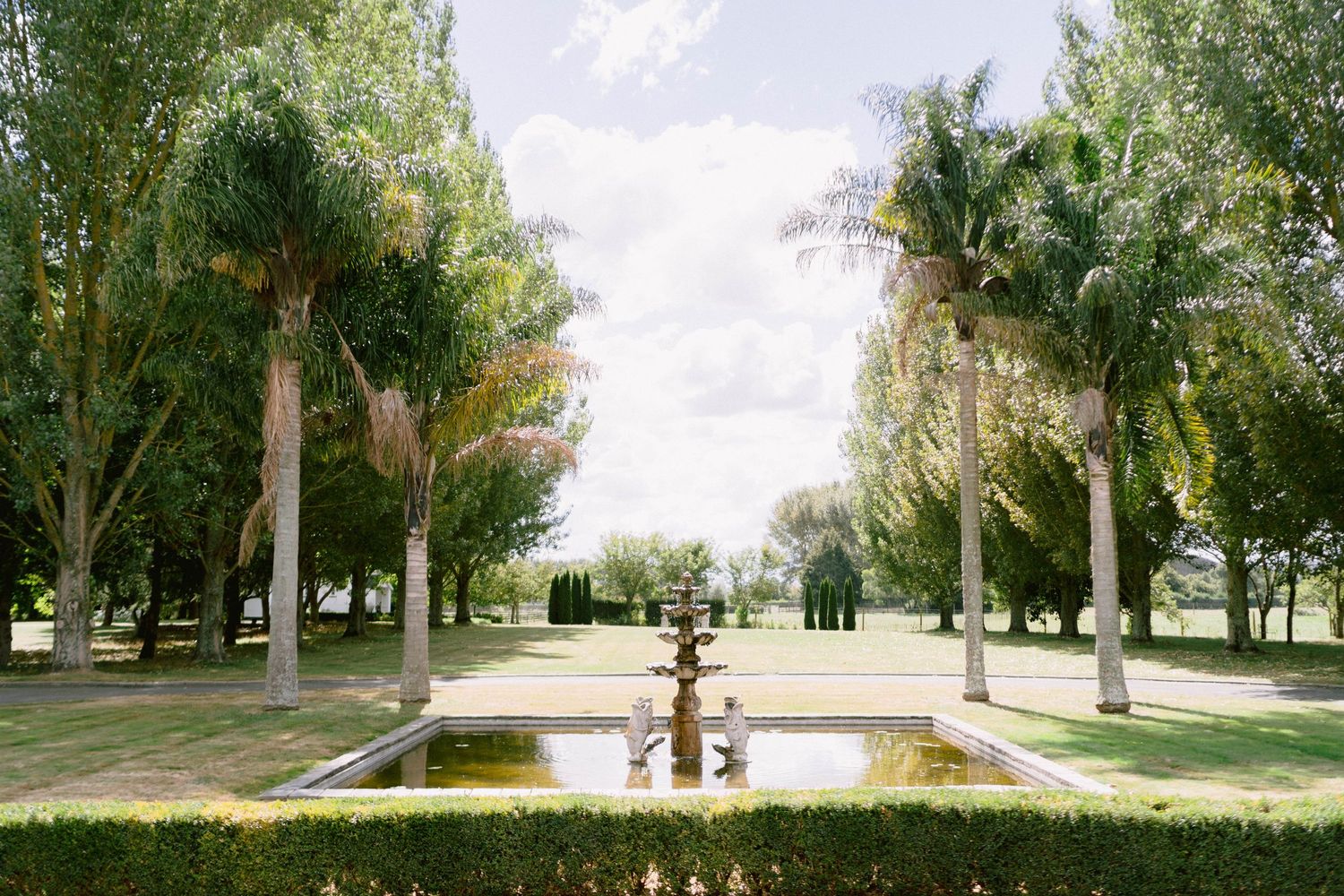 A serene garden path lined with tall palm trees and a long reflecting pool in the center.