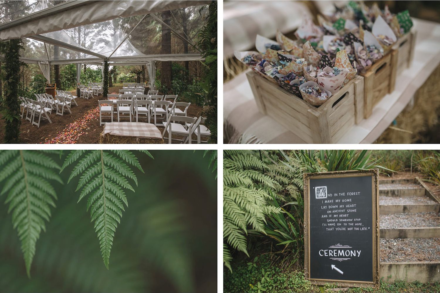 Wedding signs and decorative ferns create an elegant rustic outdoor ceremony setup with natural woodland elements.