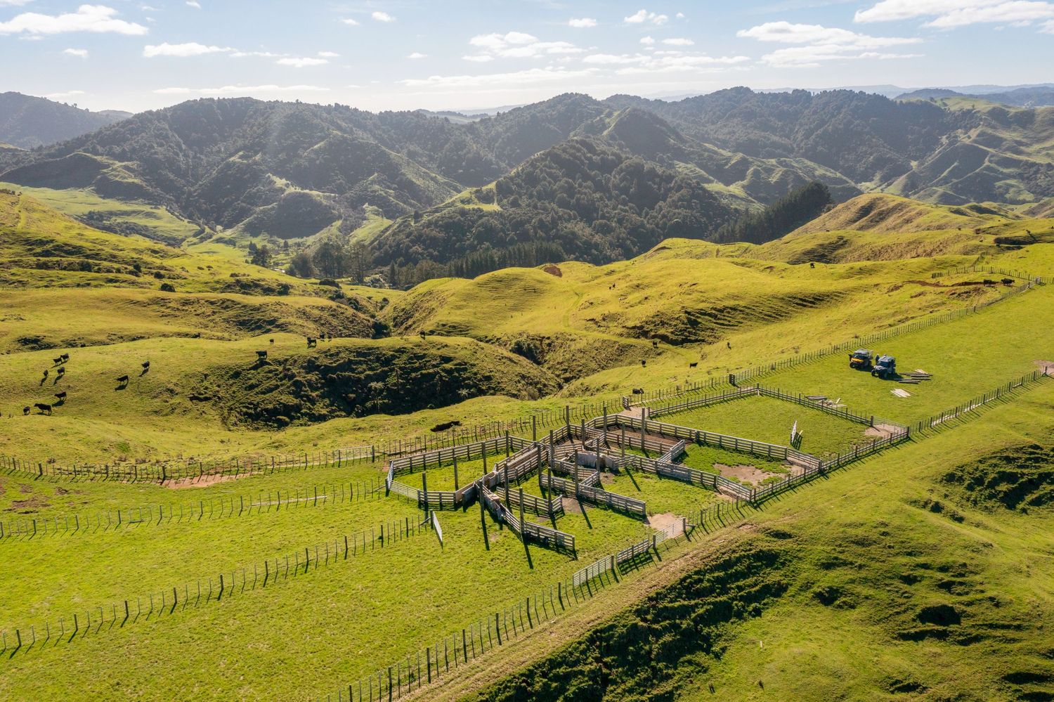 Aerial view of lush green rolling hills in New Zealand countryside with wooden fence posts stretching into the distance.