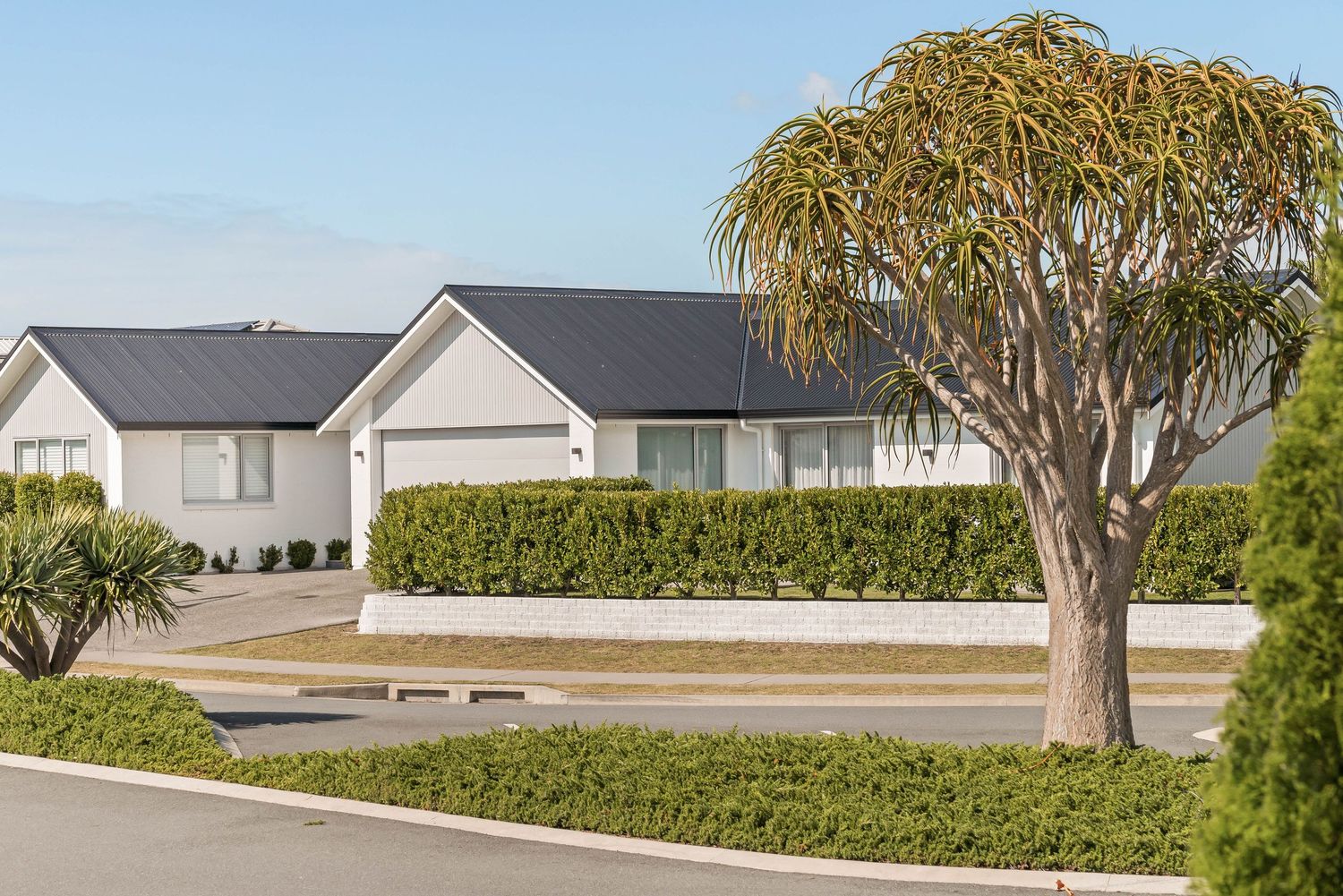 Modern residential street with white houses and palm trees along a curved road in a new development.