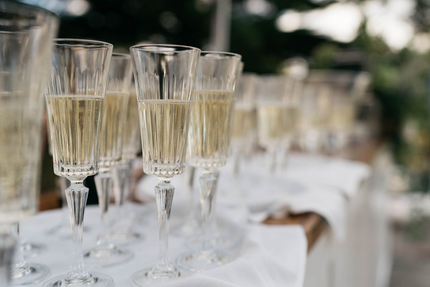 Multiple rows of empty champagne flutes lined up on a table for a formal event or celebration.