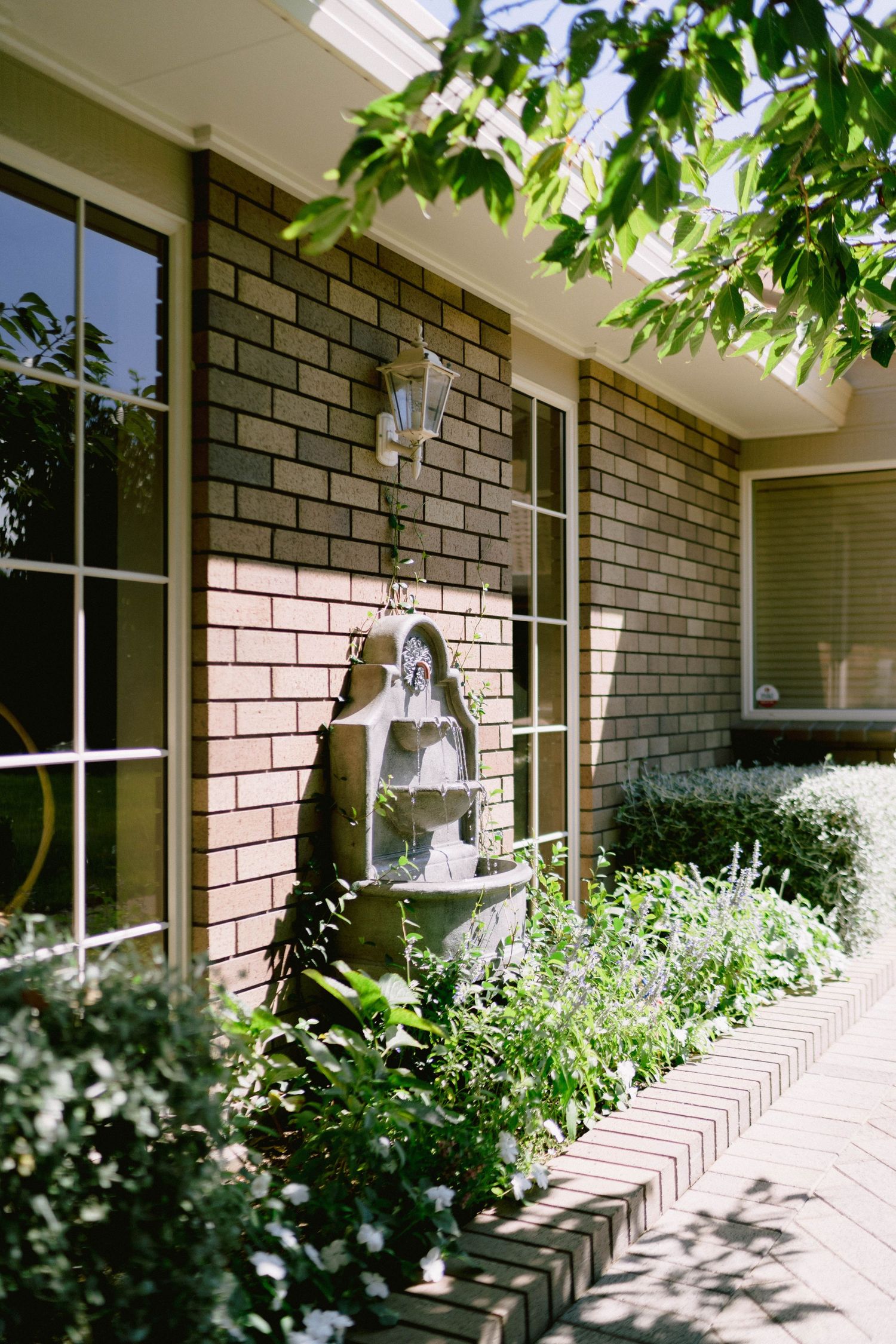 Sunlit brick exterior of residential building with green foliage and white trim windows creating dappled shadows.