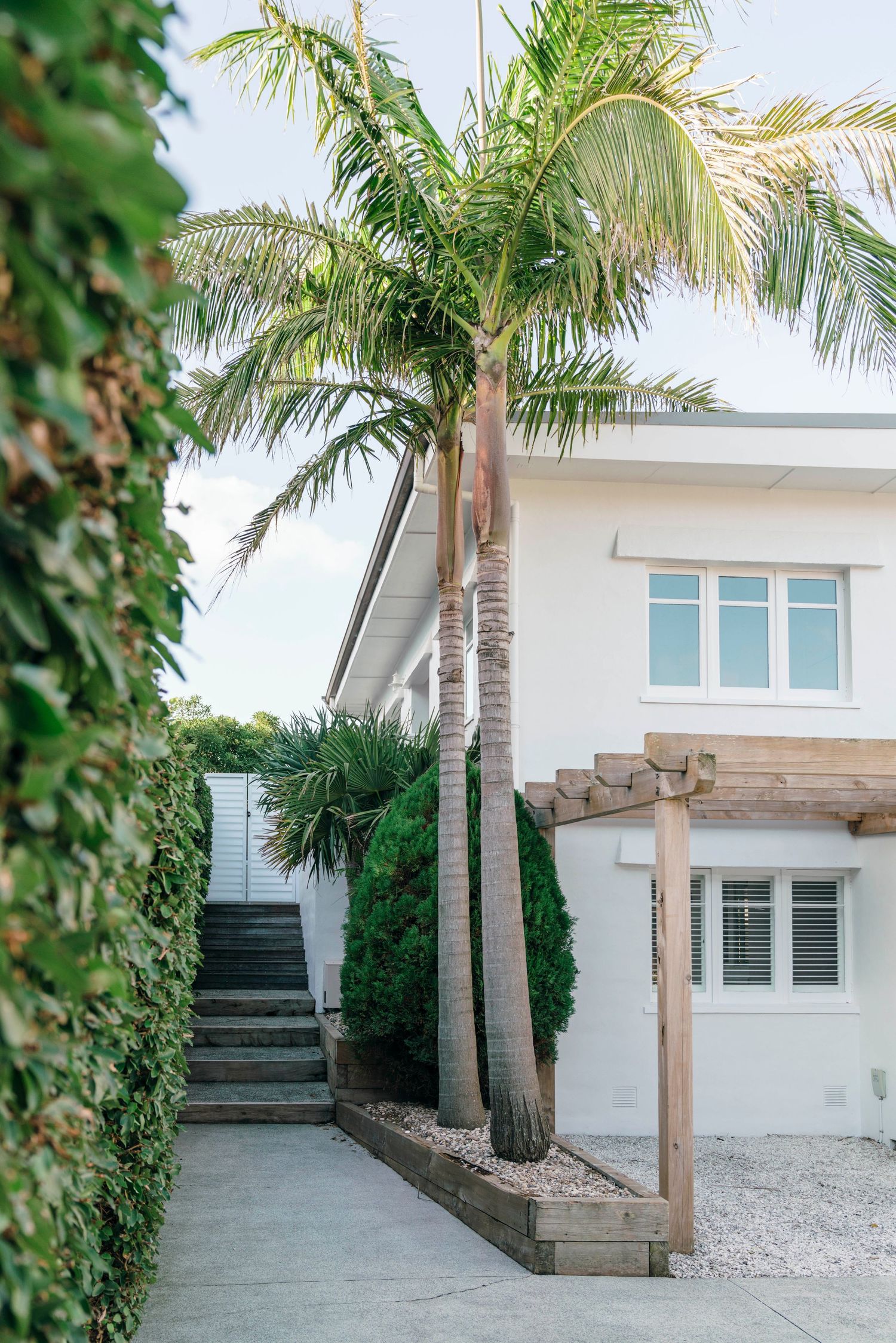 Outdoor stairway leading to white house with tall palm trees and landscaped pathway.