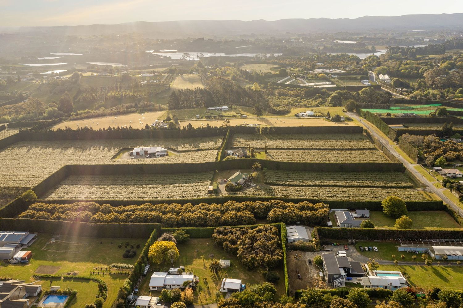 Aerial view of large agricultural fields and farm buildings arranged in geometric patterns under golden evening sunlight.