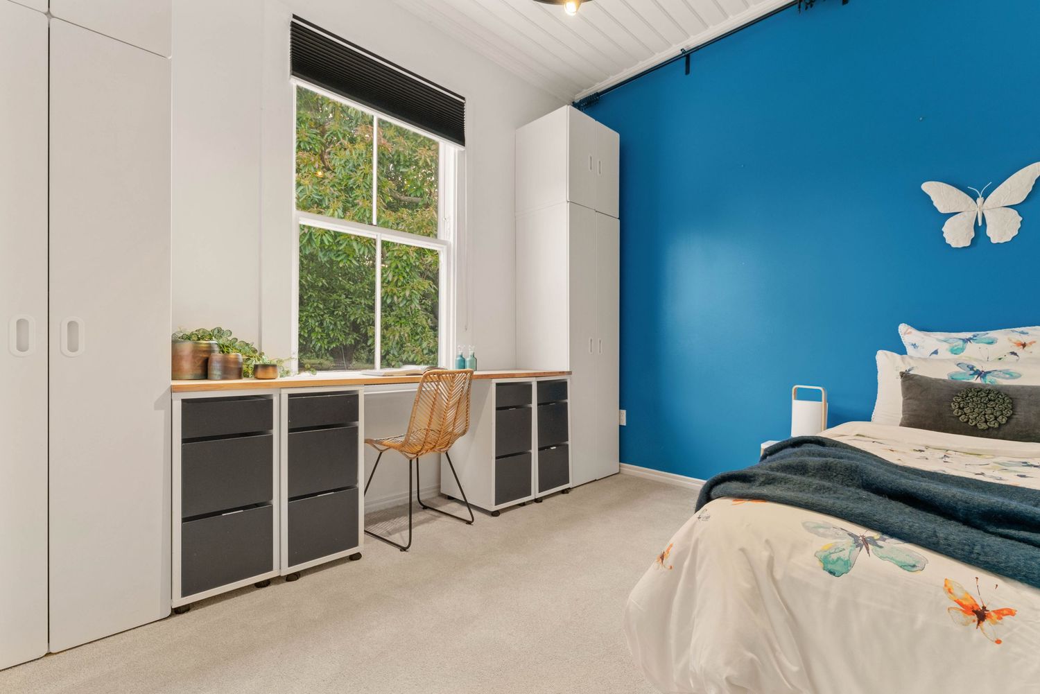 Modern interior rooms with bright blue accent walls, white trim, and large windows letting in natural light.