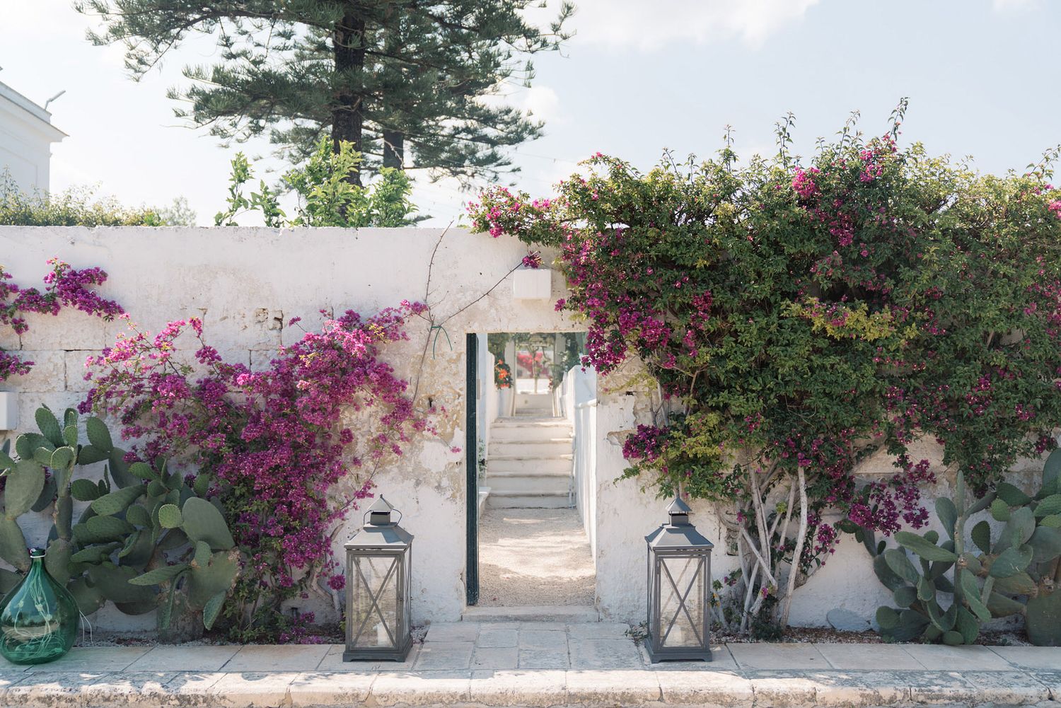 A white stucco wall adorned with vibrant pink bougainvillea flowers creates a beautiful Mediterranean-style boundary.
