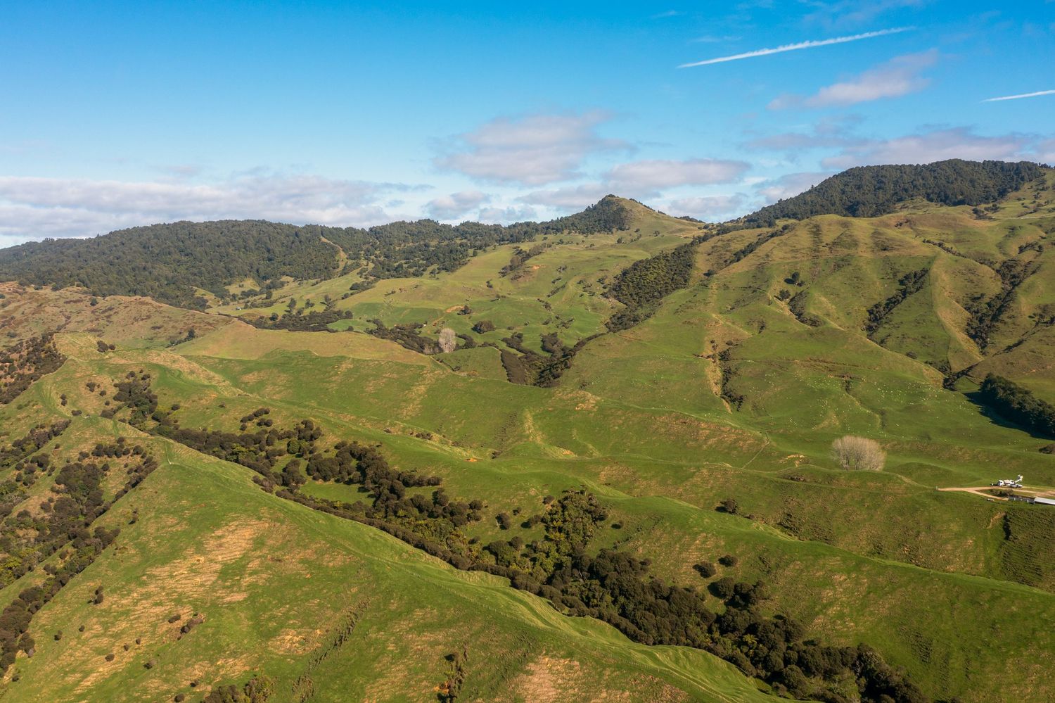 Aerial view of rolling green hills and mountain ranges under blue sky in rural countryside landscape.