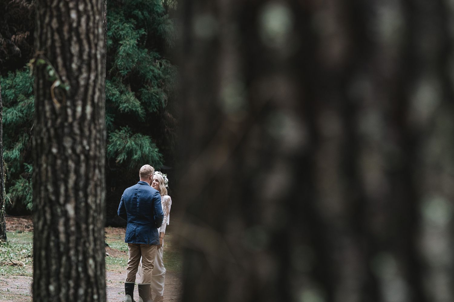 A quiet romantic moment between two figures embracing among tall pine trees in a misty forest setting.