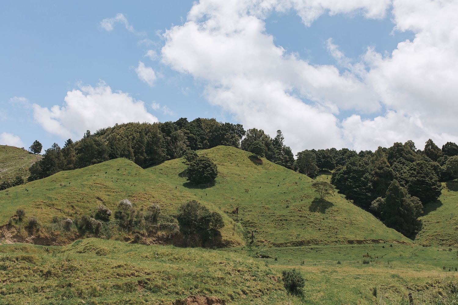 Rolling green hills dotted with trees stretch across the landscape under a partly cloudy blue sky.