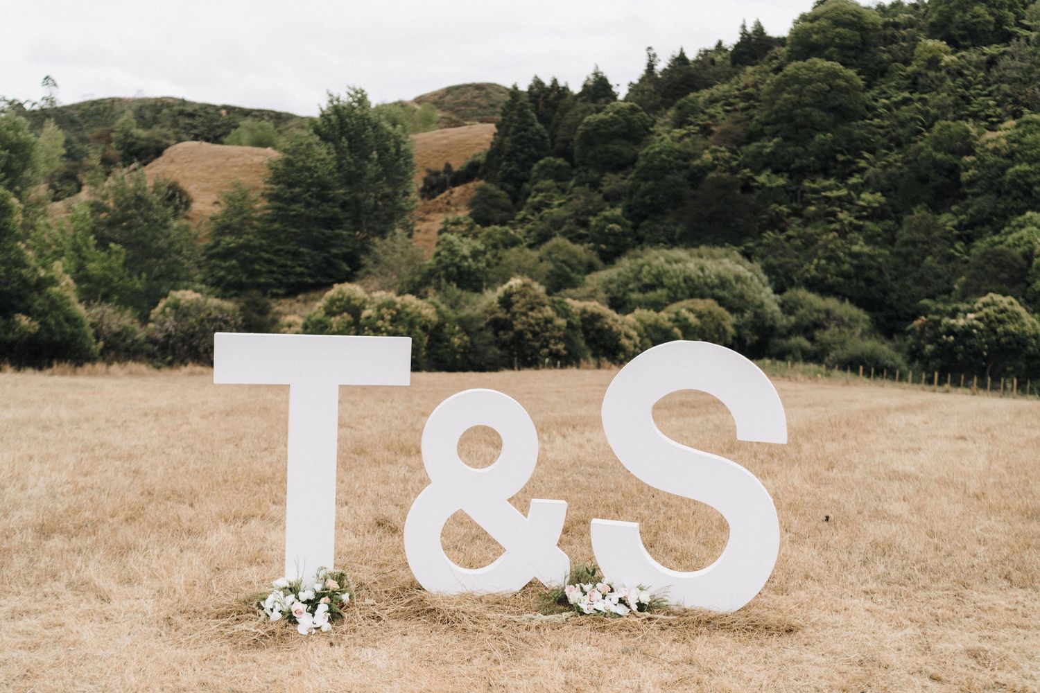 Decorative I & S letters set against a natural landscape with hills and trees.