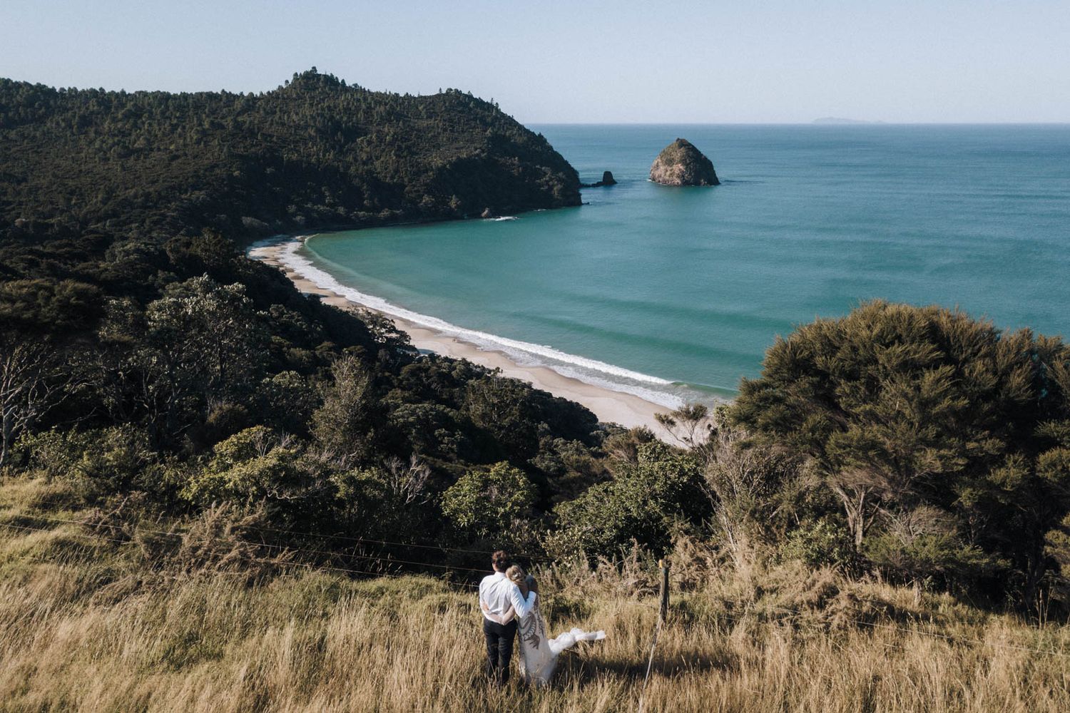 Scenic coastal view of a curved beach with turquoise waters and lush greenery on New Zealand's coastline.