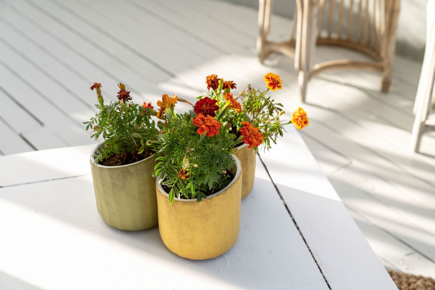 White deck space with decorative potted plants and flowers in golden planters.