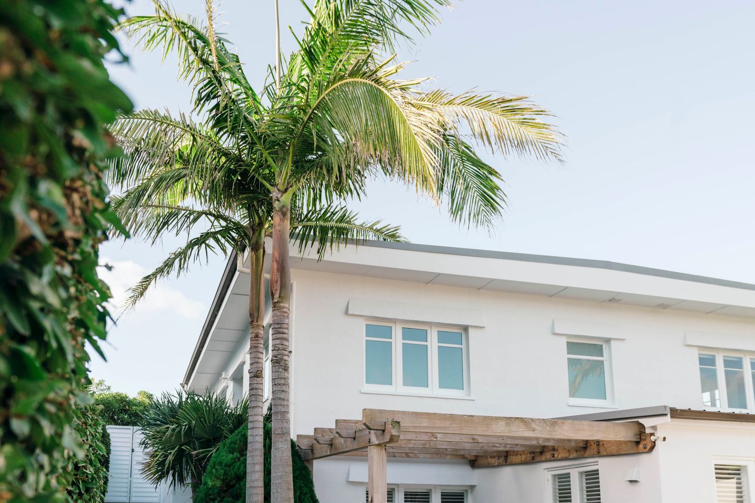Tropical landscaping surrounds a contemporary white residential property.