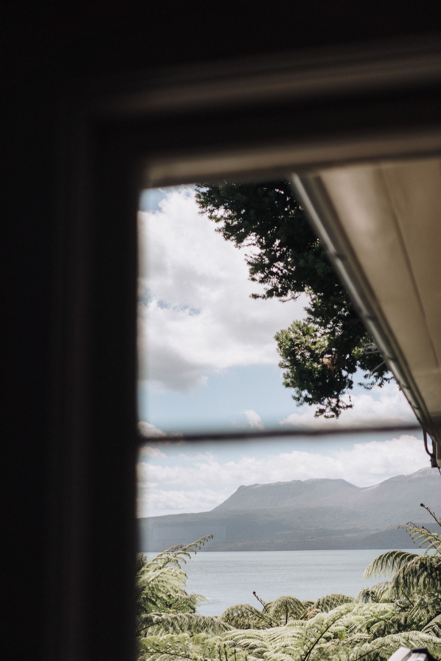 View of a misty mountain lake through a window frame with overhanging trees and ferns in the foreground.