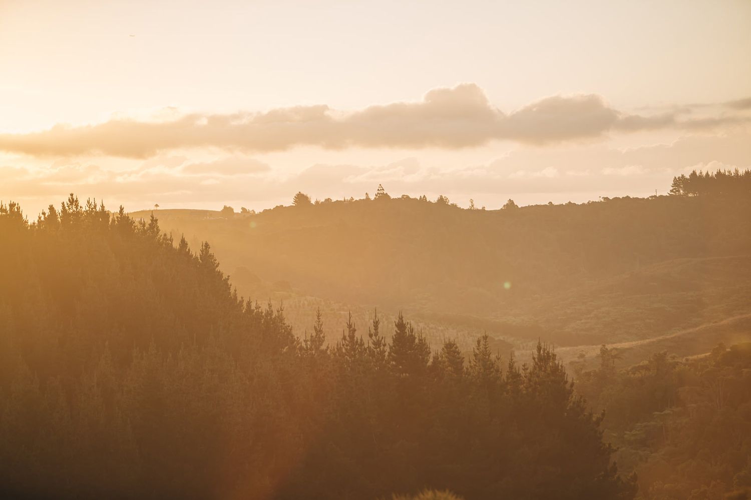 Golden sunset illuminates rolling hills and silhouetted forest treeline against a cloudy evening sky.