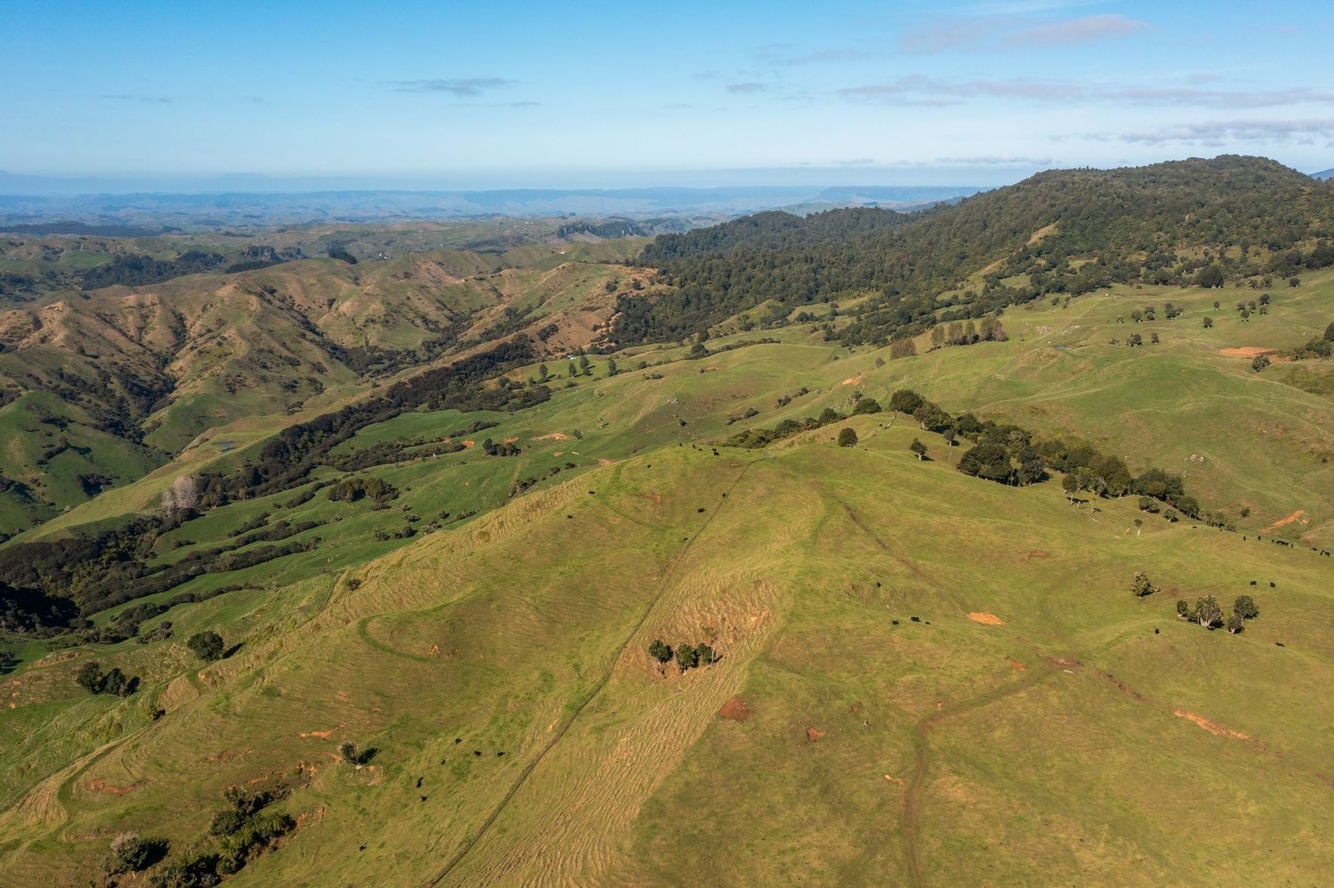 Rolling green hills stretch across a scenic rural landscape under blue skies with scattered clouds and distant mountains.