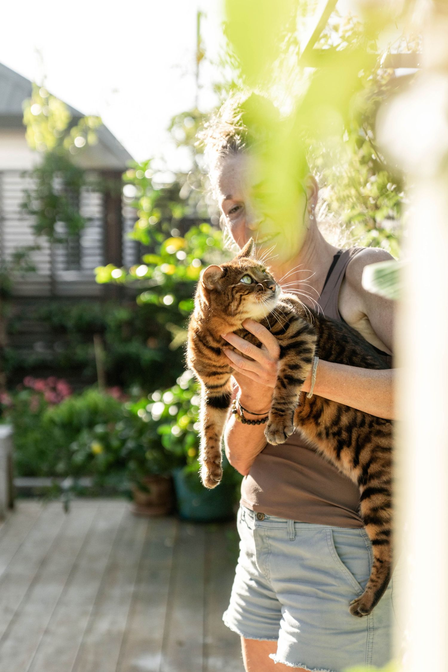 Bengal cat with striped markings being held on an outdoor porch with greenery in background.