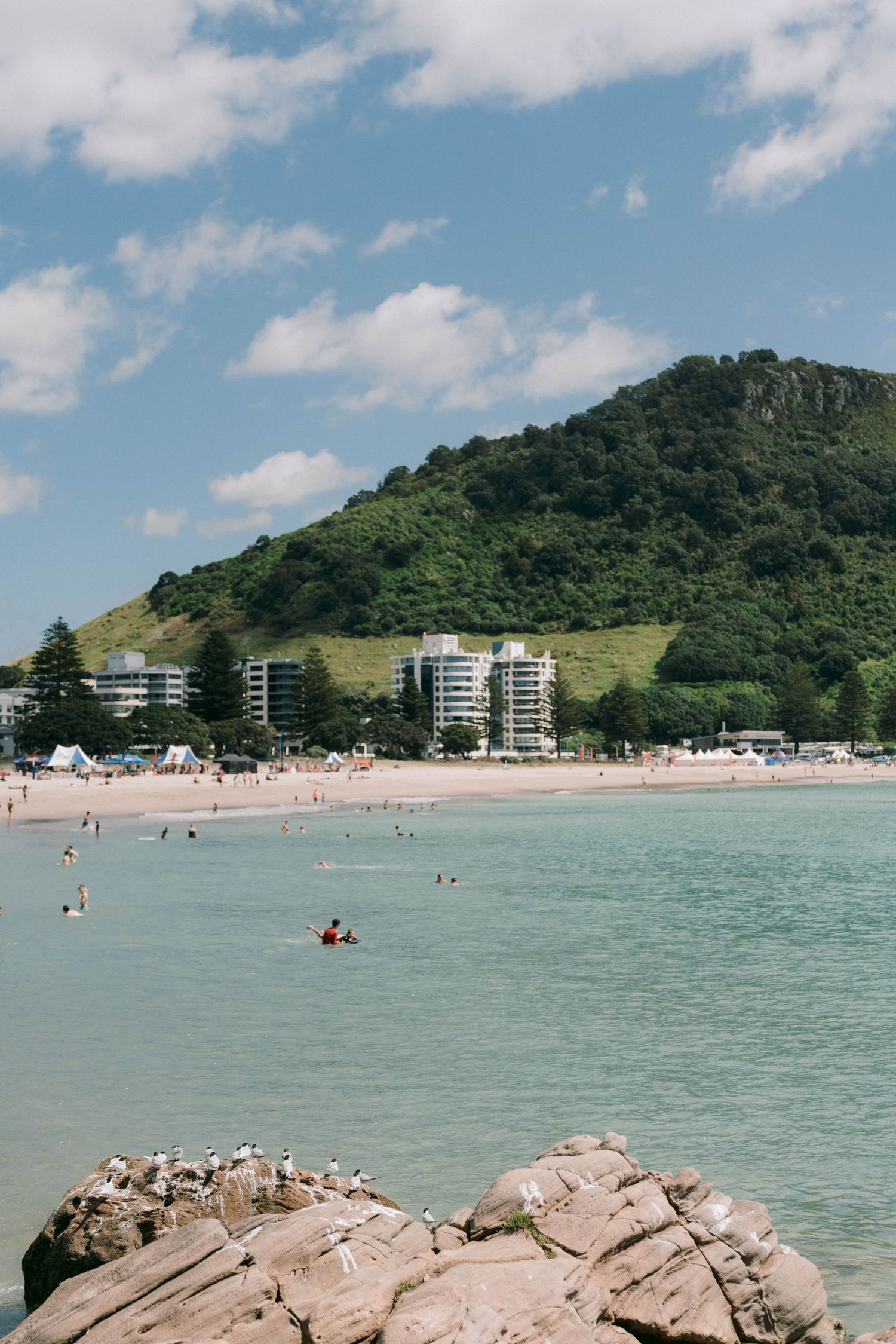 A scenic beach view with turquoise waters and mountains in the background at Mount Maunganui, New Zealand.