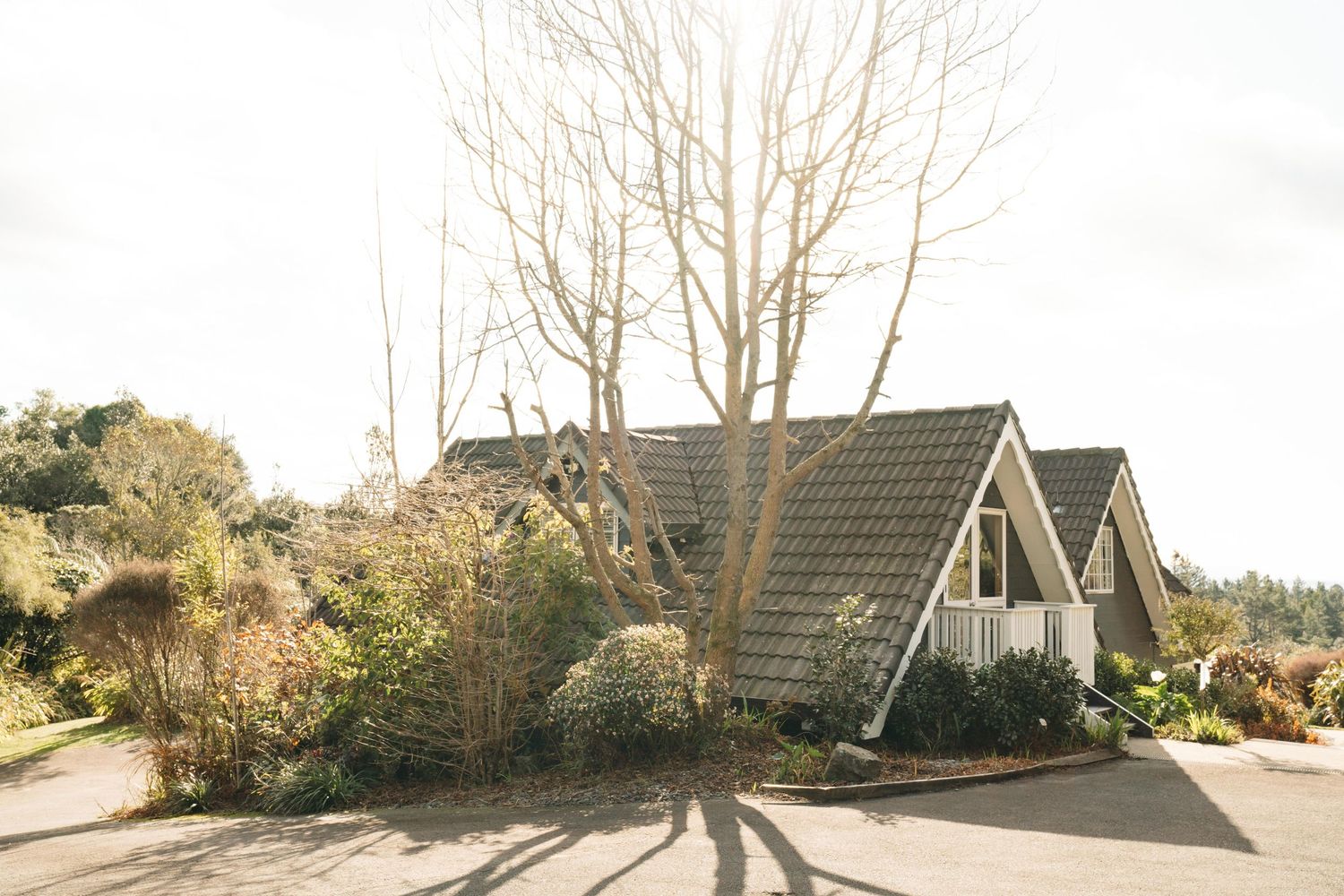 An A-frame style house with grey shingles and bare trees casting shadows in the winter sunlight.