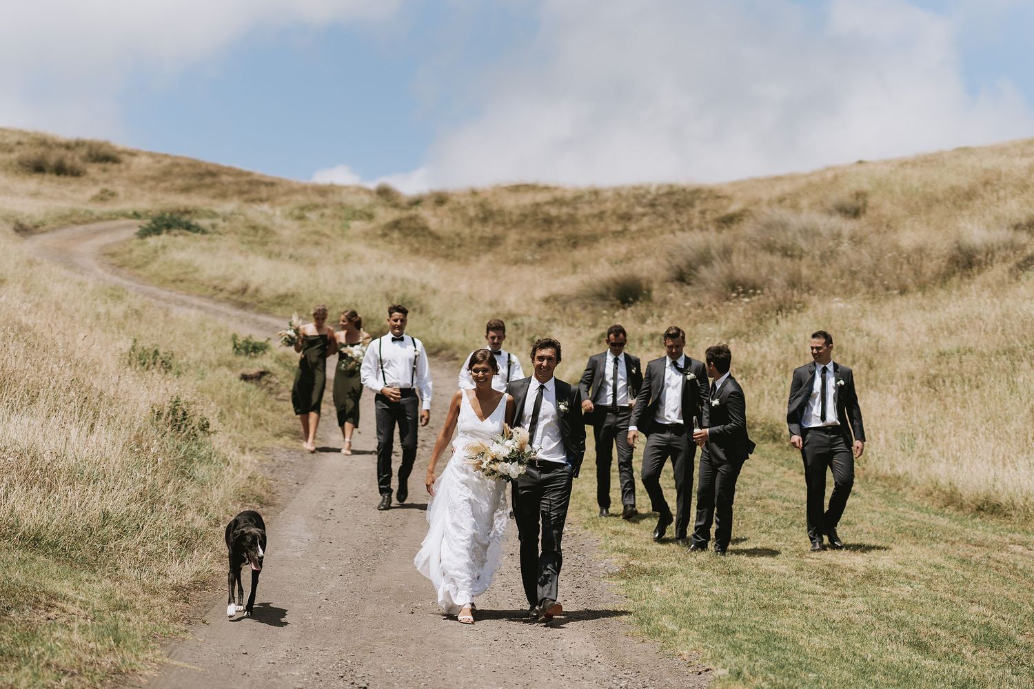 Wedding party walking along scenic hillside trail with a dog in the golden grass on a sunny day.
