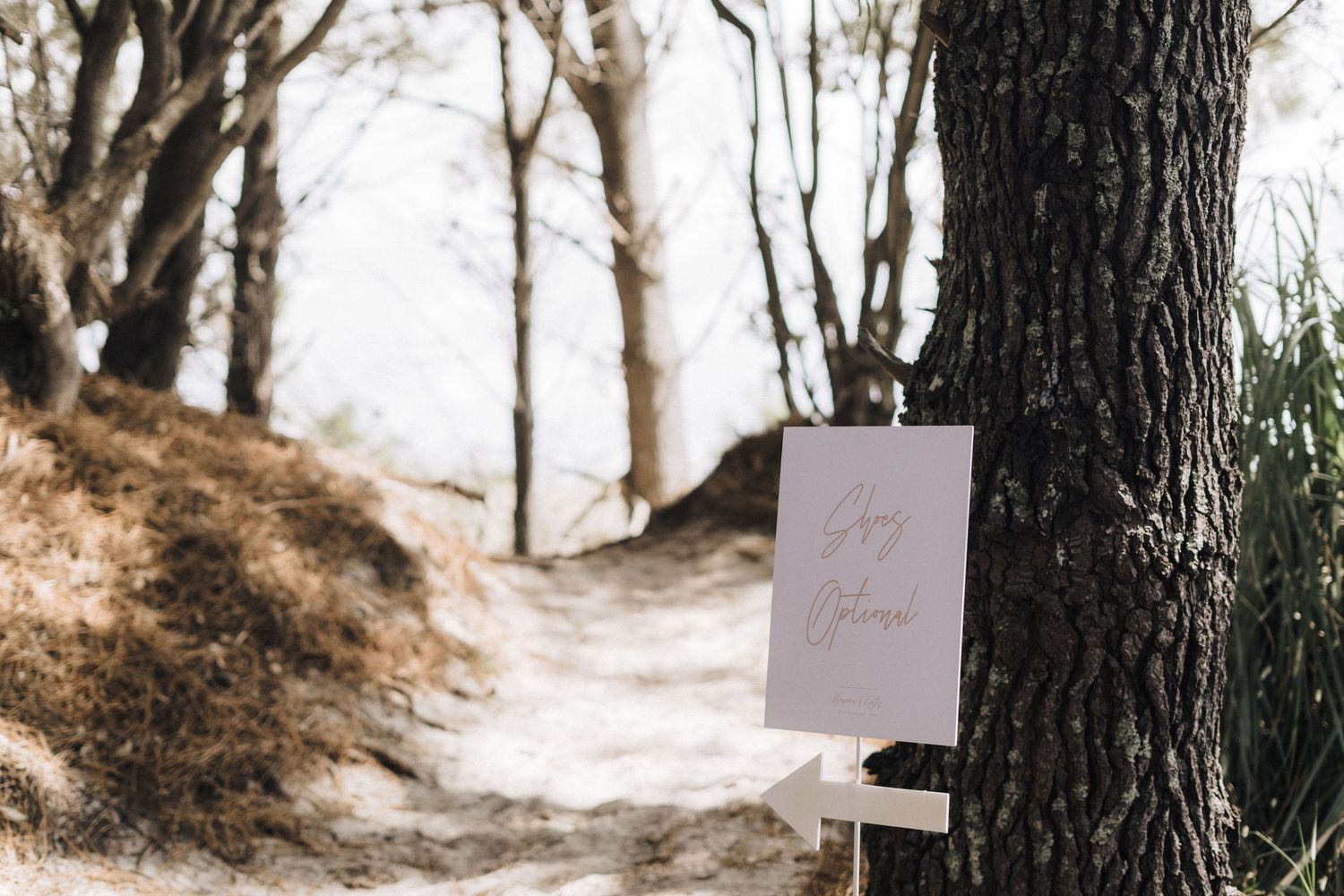A blank white paper sign is attached to a tree trunk along a misty forest path.