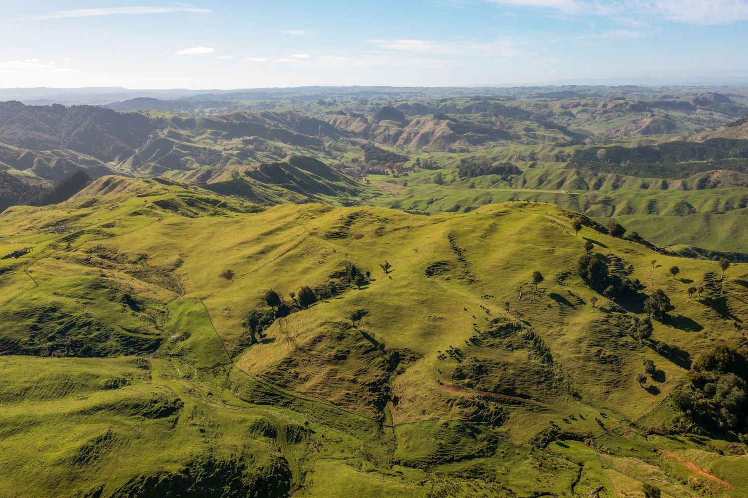 Rolling green hills and valleys stretch across a scenic pastoral landscape under blue skies.