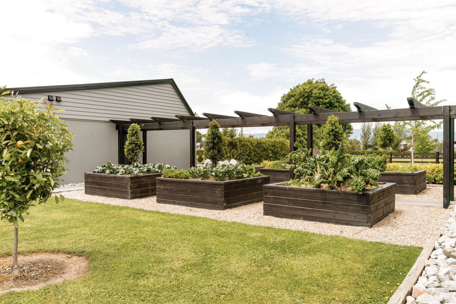 Modern raised garden beds with trellises in a landscaped backyard featuring dark wooden planters on gravel path.