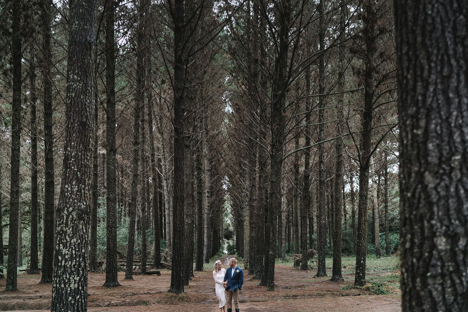 Two people walk together down a serene path between tall pine trees in a moody forest setting.