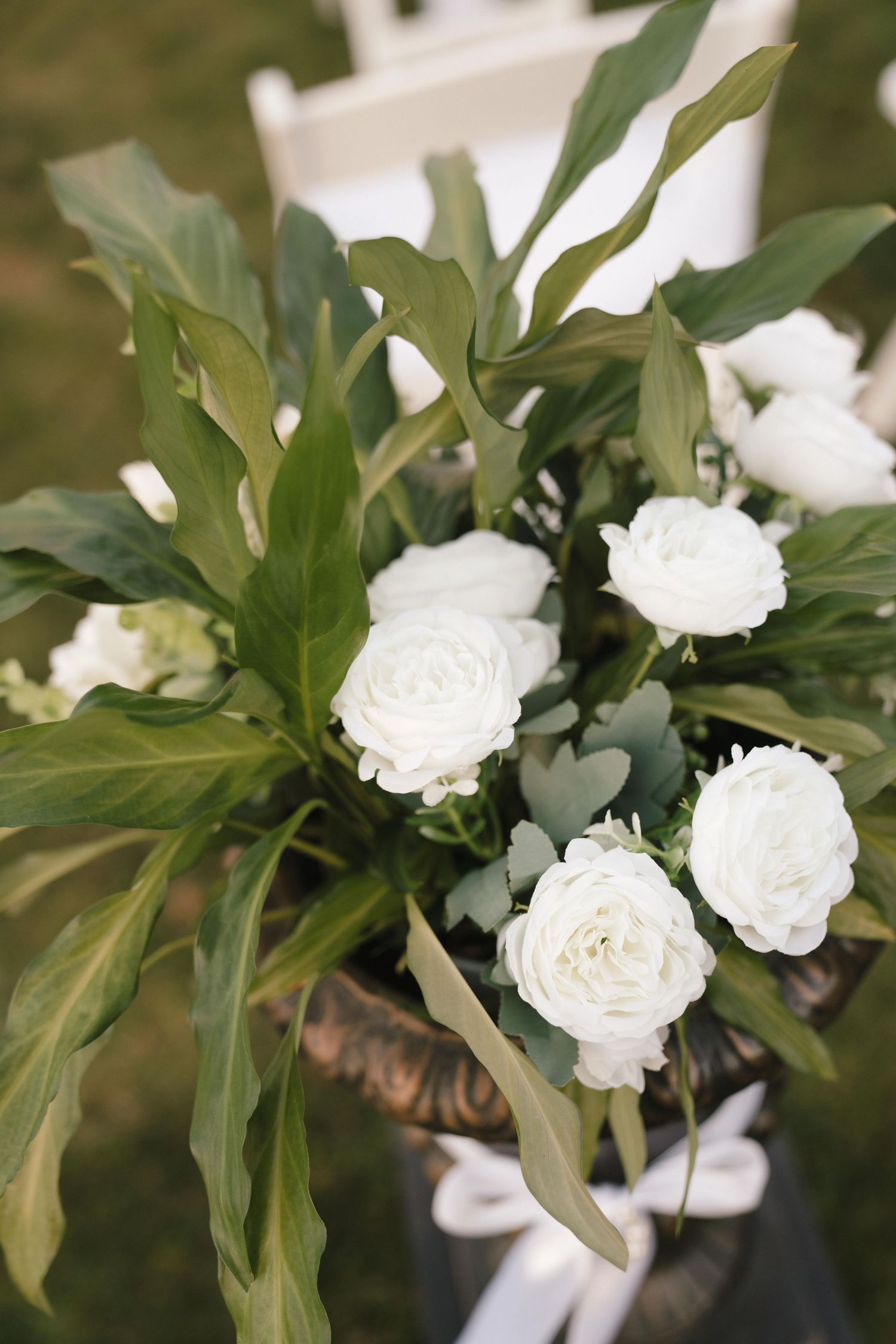 White garden roses blooming among lush green foliage in an elegant floral arrangement.