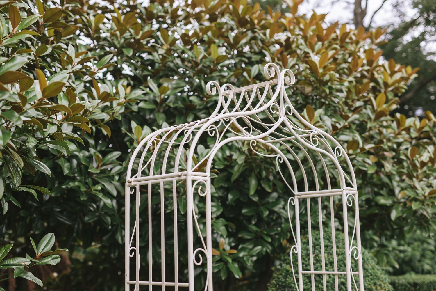 White decorative metal garden arbor entrance with curved top against green foliage shrubs in outdoor setting.