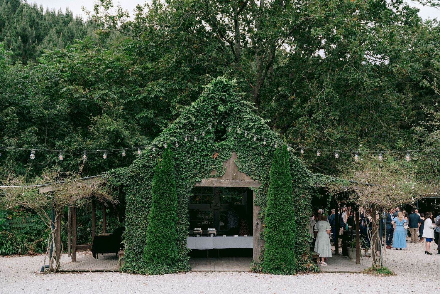 Green vine-covered outdoor wedding venue with string lights and natural decor.