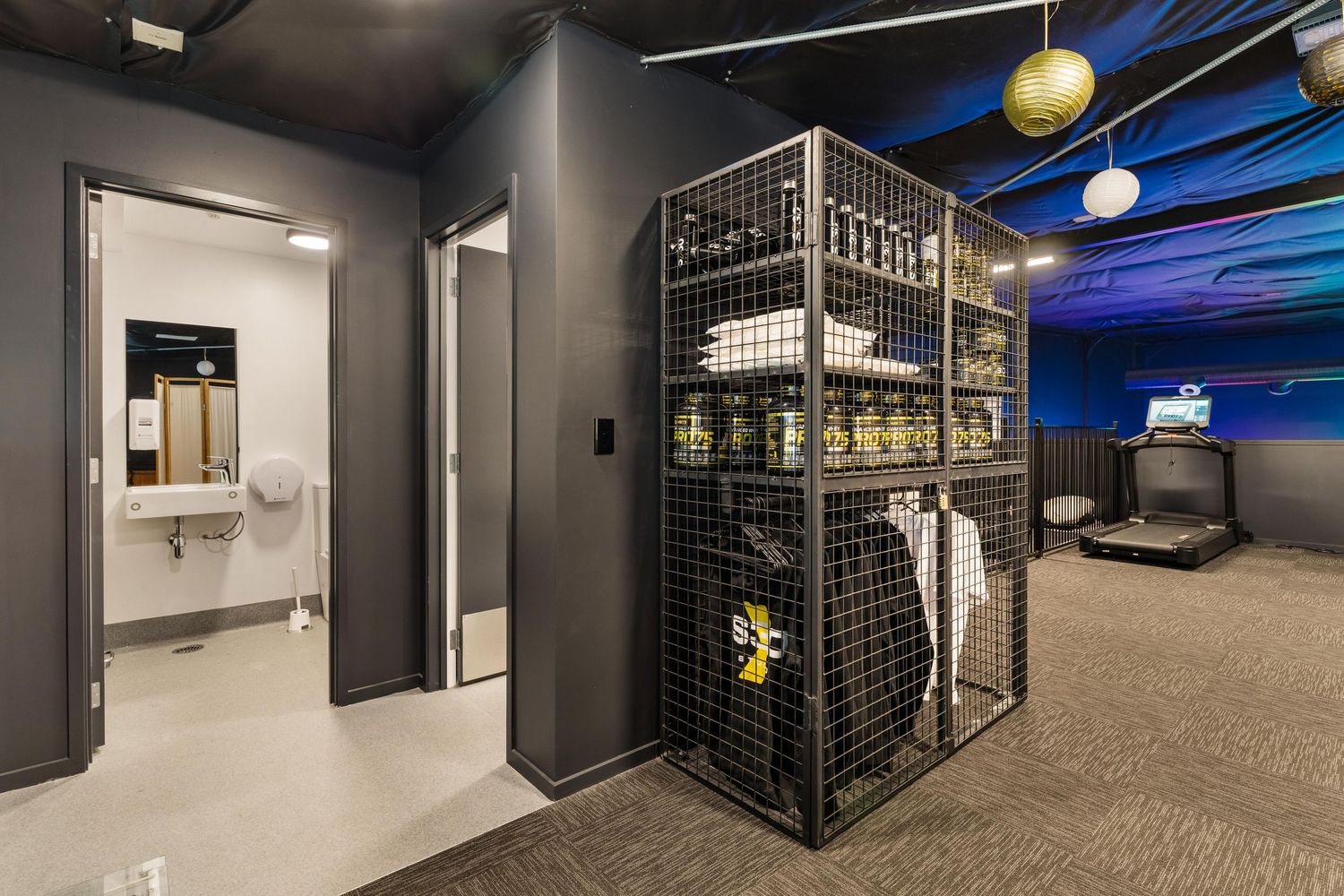 Modern gym interior with metal cage stations and ambient blue lighting.