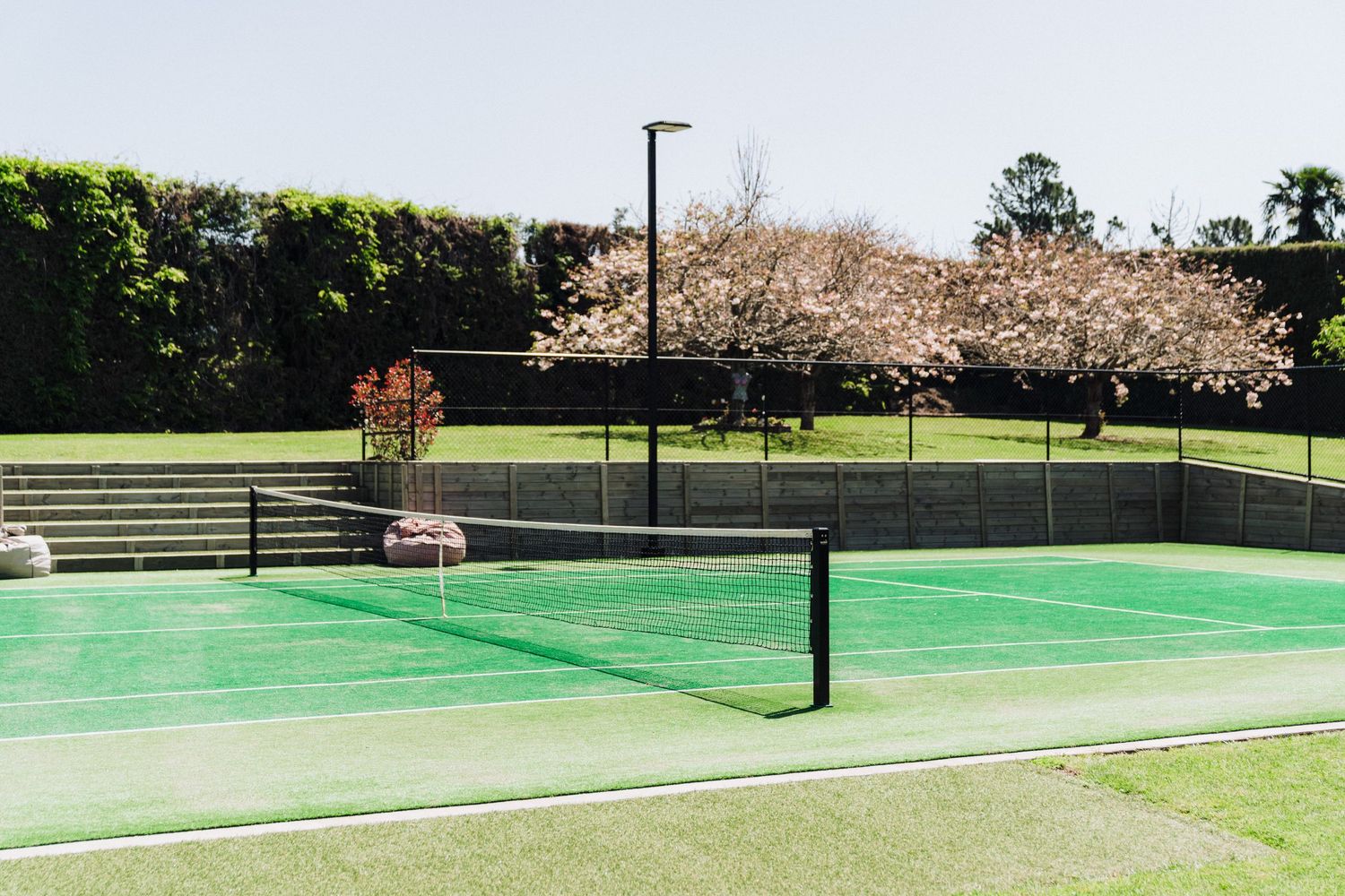 Tennis court with green surface and cherry blossom trees blooming in the background.