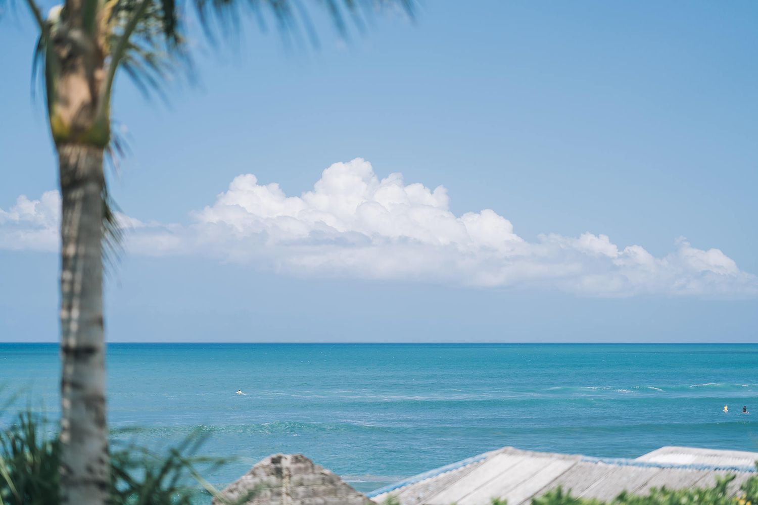 Scenic tropical beach landscape with palm trees and turquoise ocean waters under blue sky.