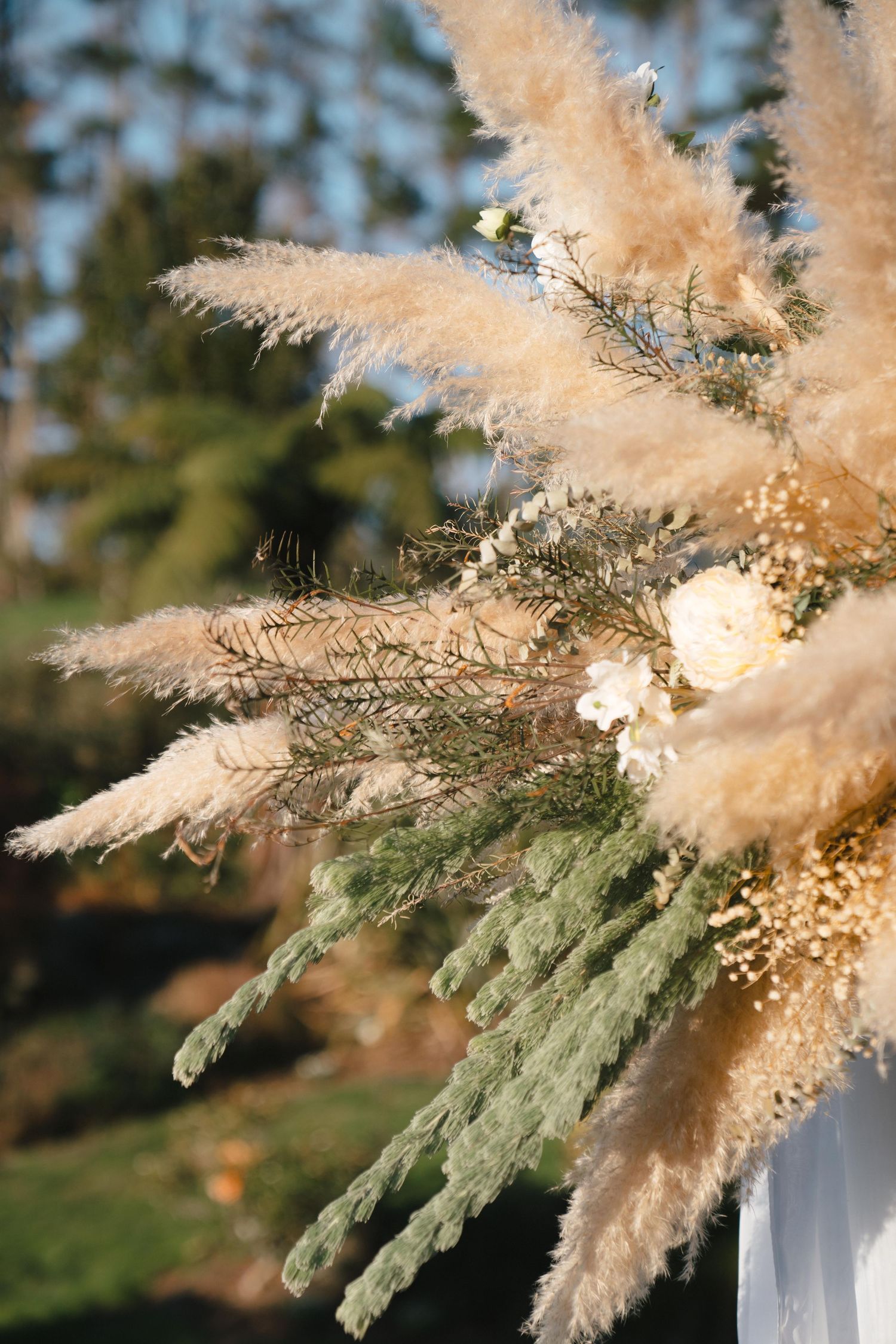 Fluffy pampas grass and dried floral arrangement in soft beige tones against a blurred natural background.