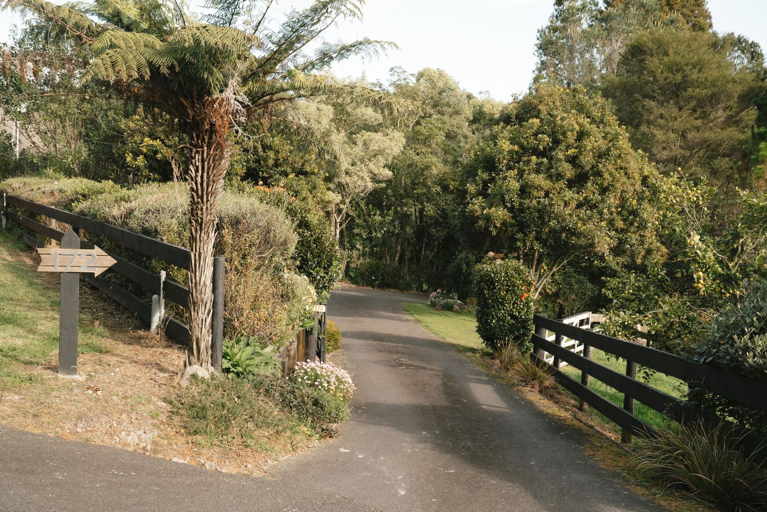 A curved driveway leads through palm trees and wooden fencing in a suburban landscape setting.