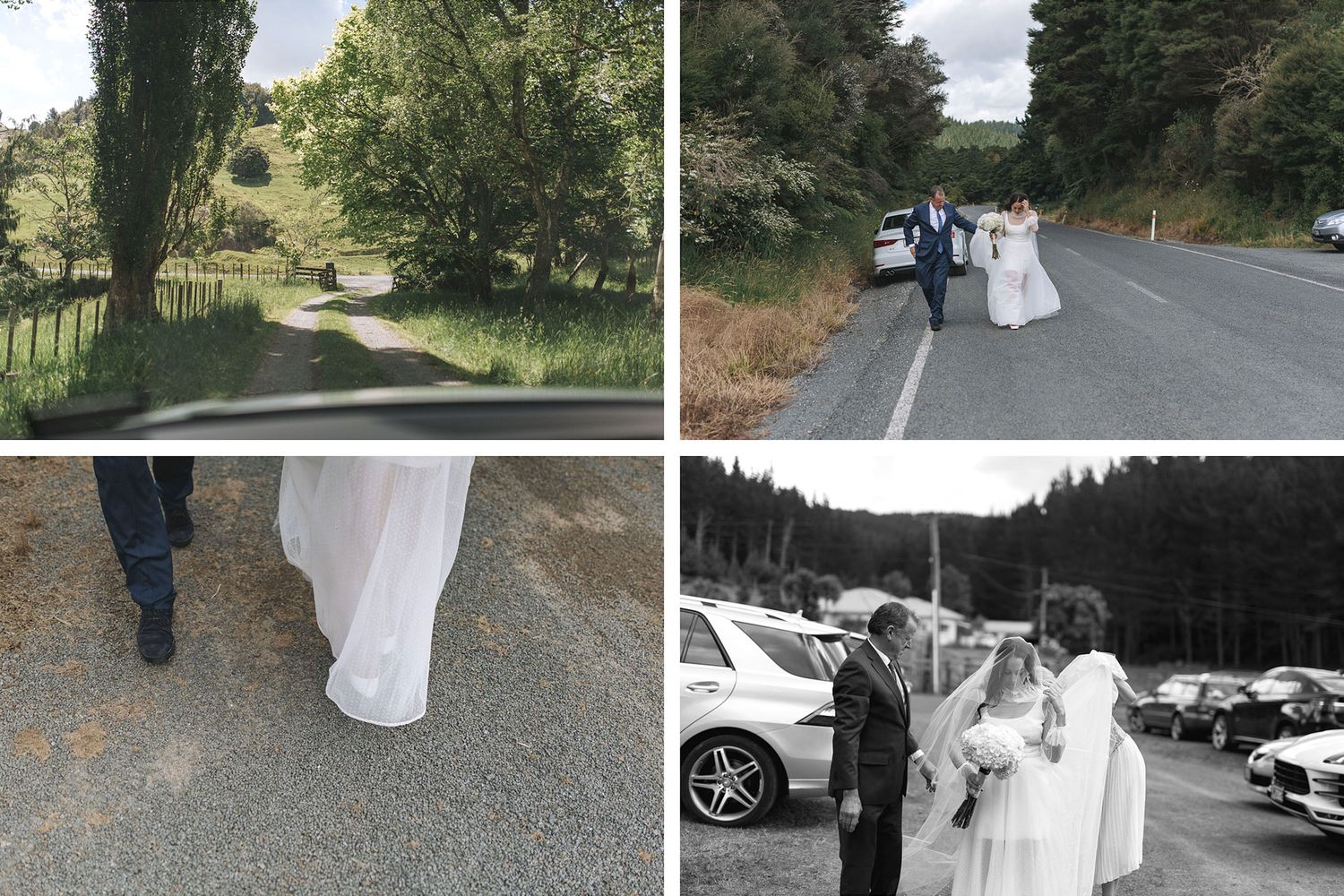 Wedding party walking down a shaded country road in a romantic countryside setting.