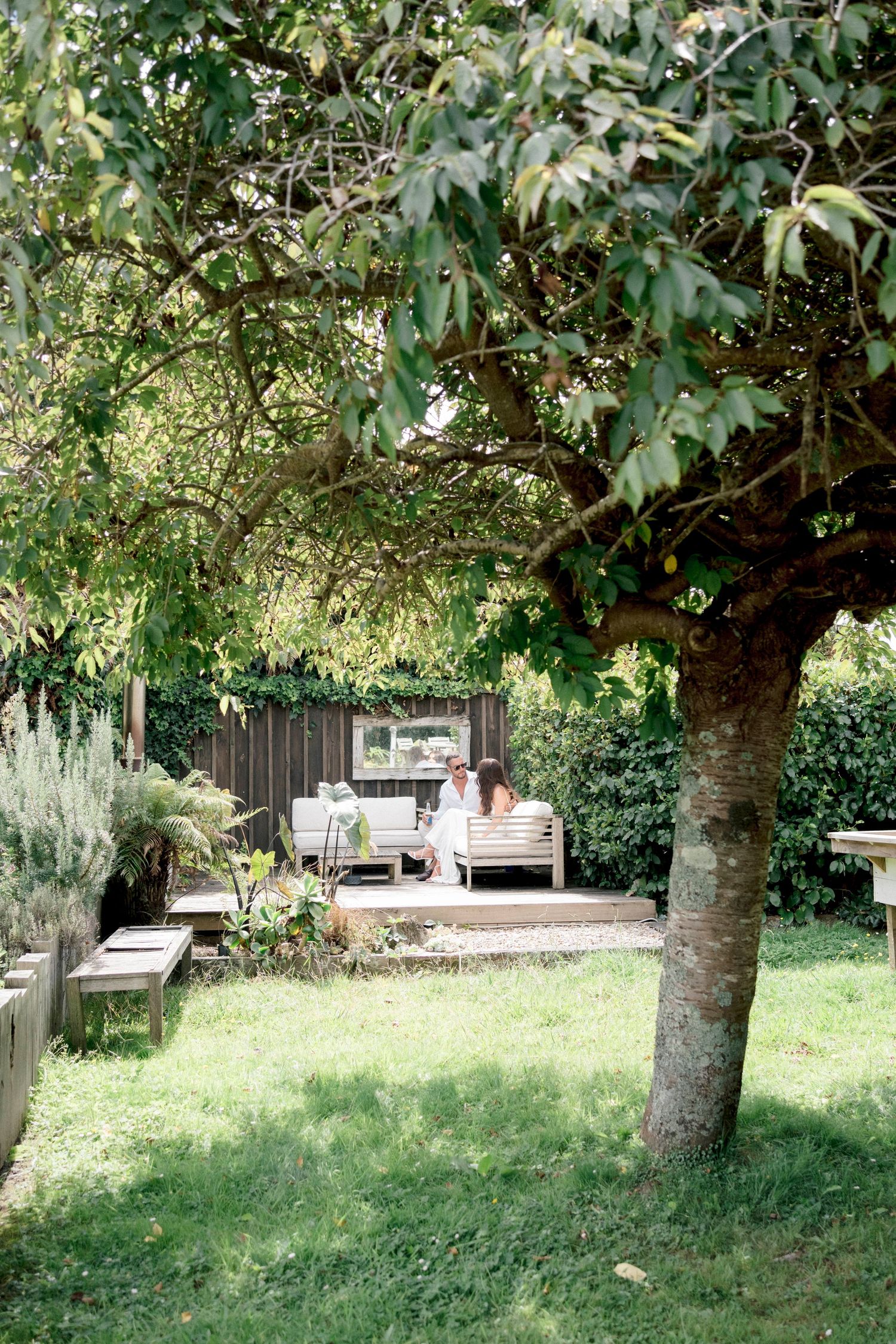 A peaceful backyard garden setting with a large tree, green lawn, and outdoor seating area visible in the background.