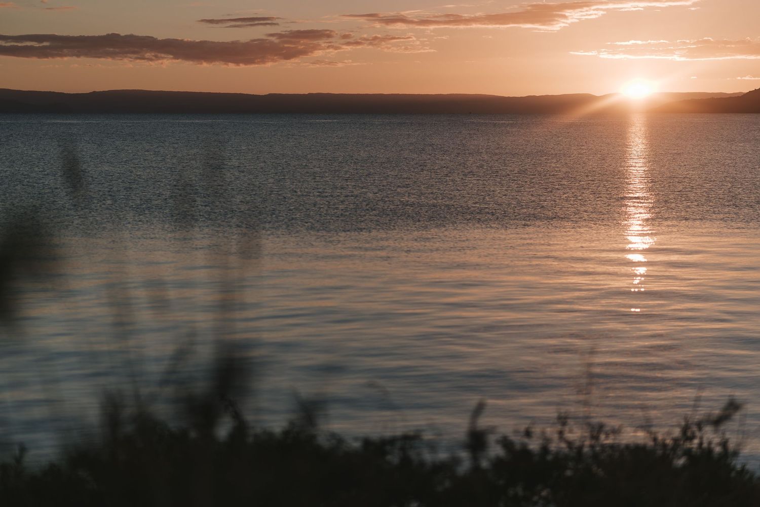 Peaceful sunset over a tranquil lake with gentle ripples in the water and silhouetted foliage in the foreground.