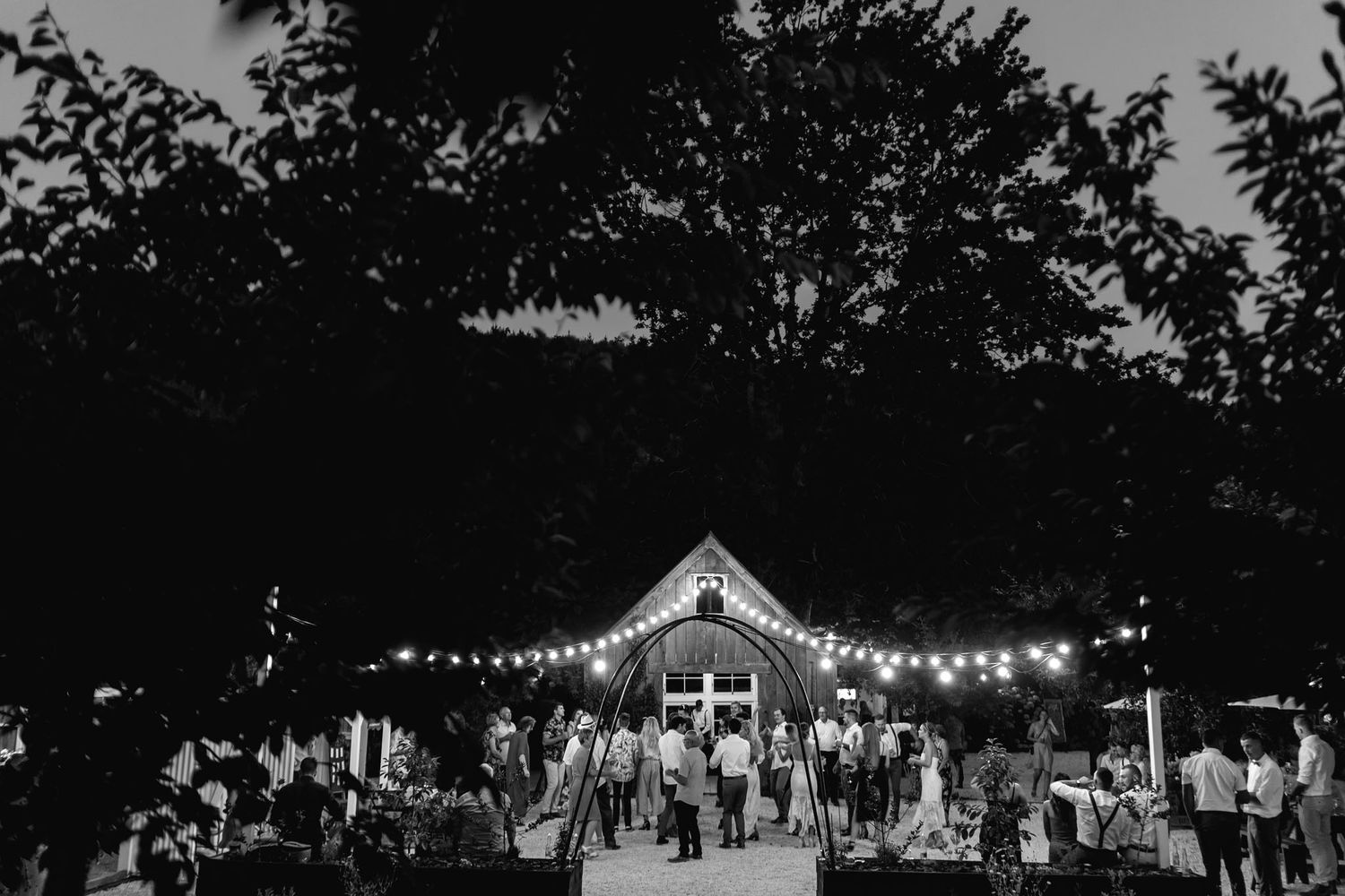 Light strings illuminate an outdoor wedding reception with white pavilion tents and guests gathering at dusk.