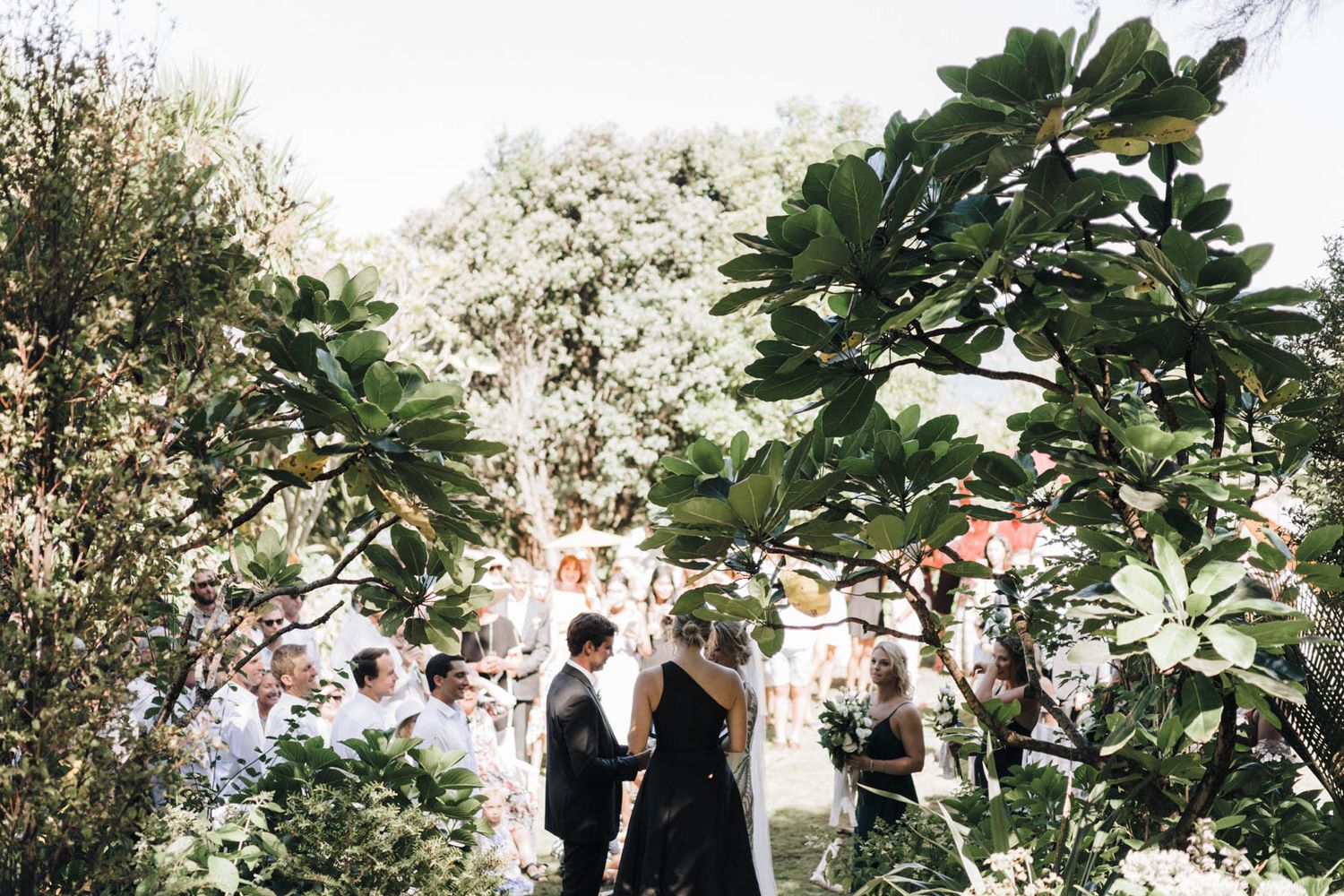 A group gathers for an outdoor event under lush green foliage and dappled sunlight.